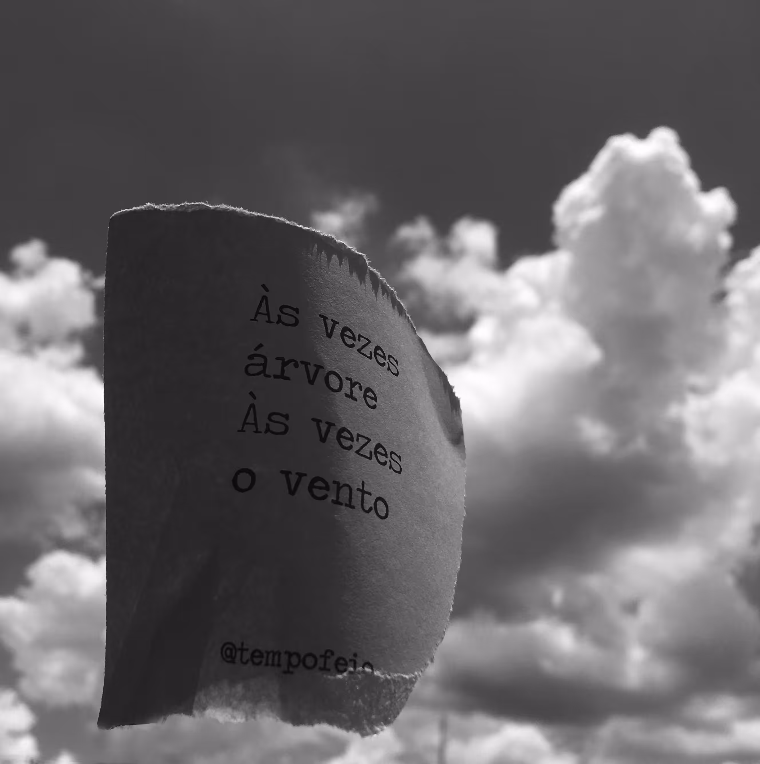 Vento