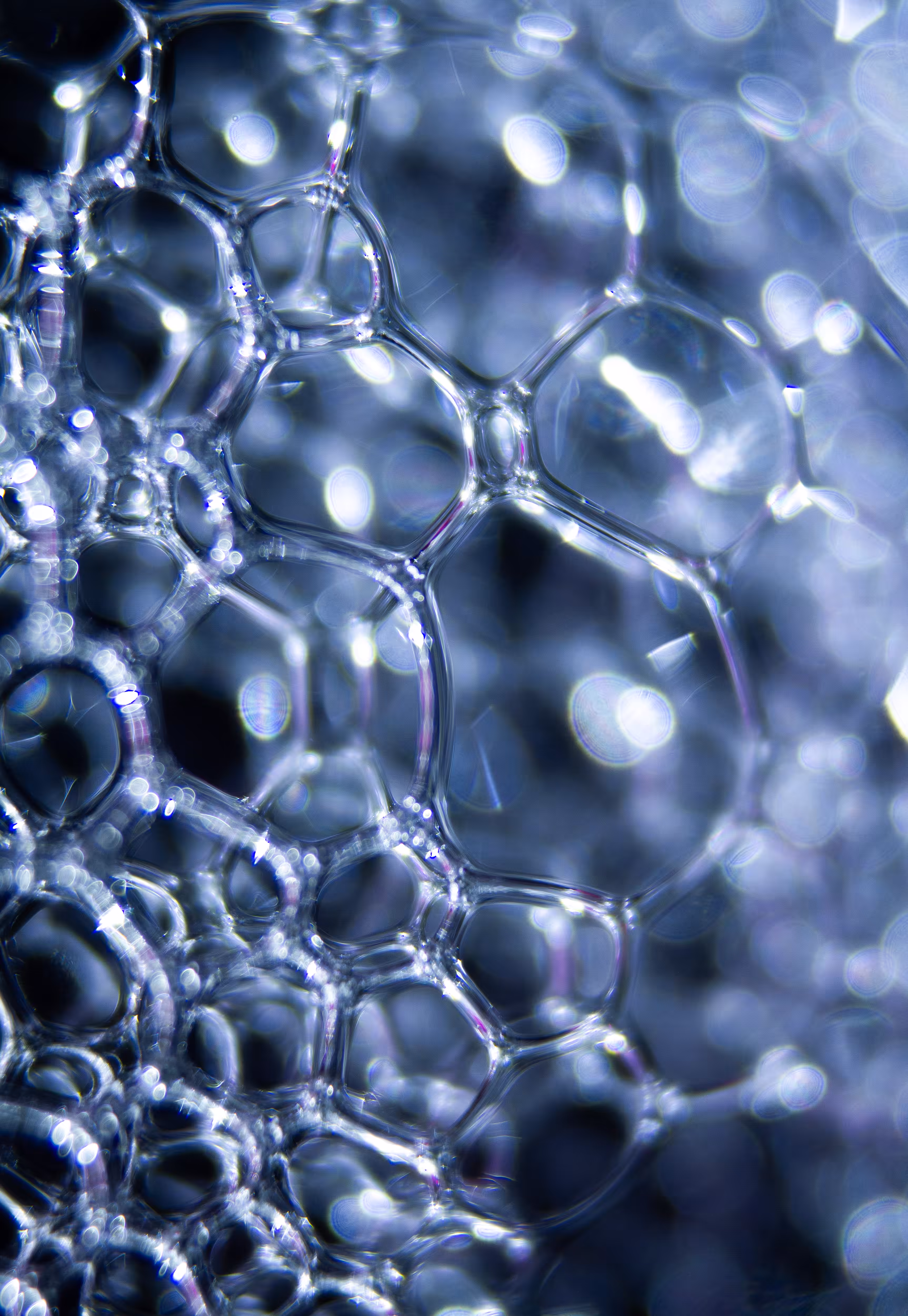 Abstract World of Soap Bubbles: #107 Bubbles