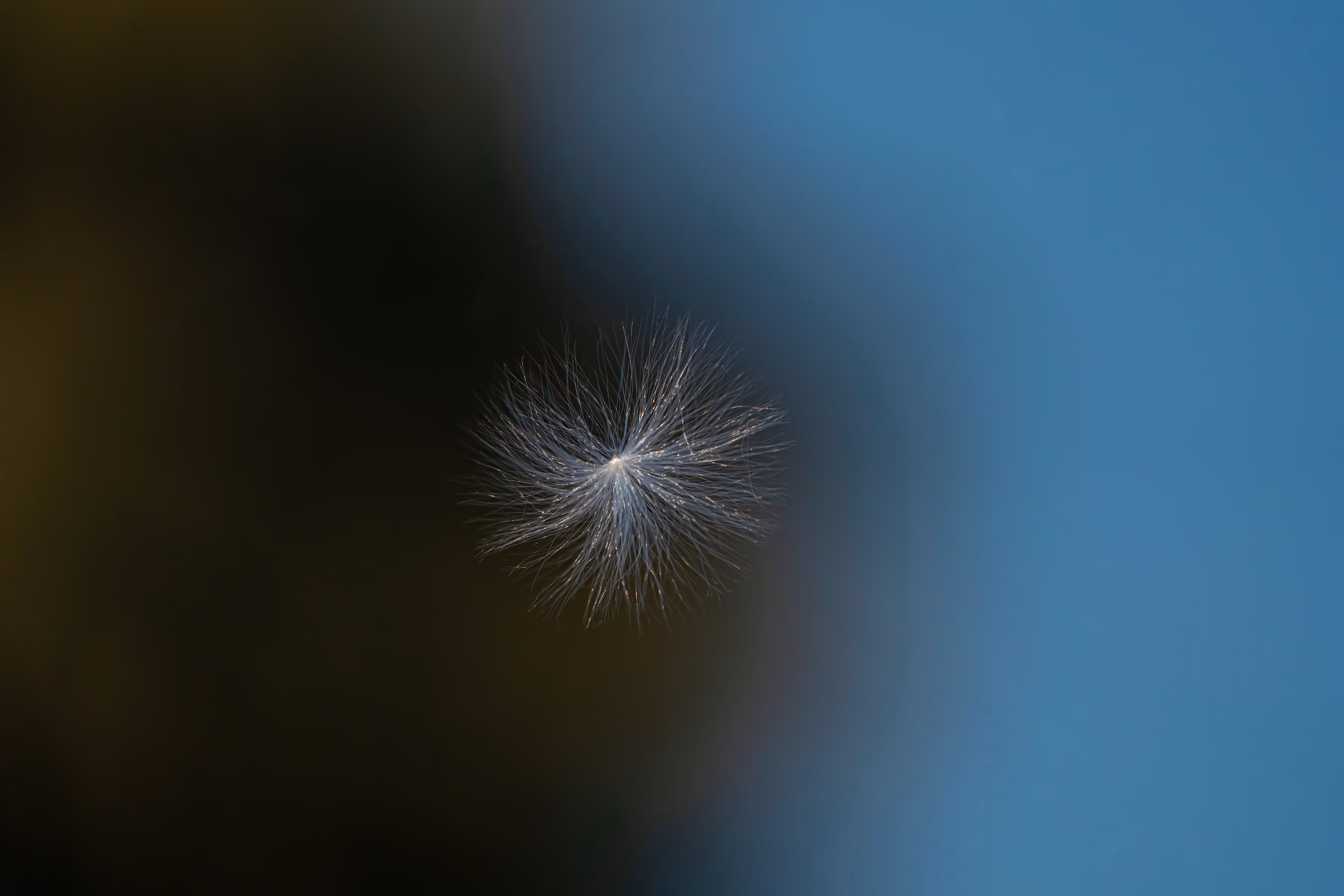 My Point Of  View: Sparkle