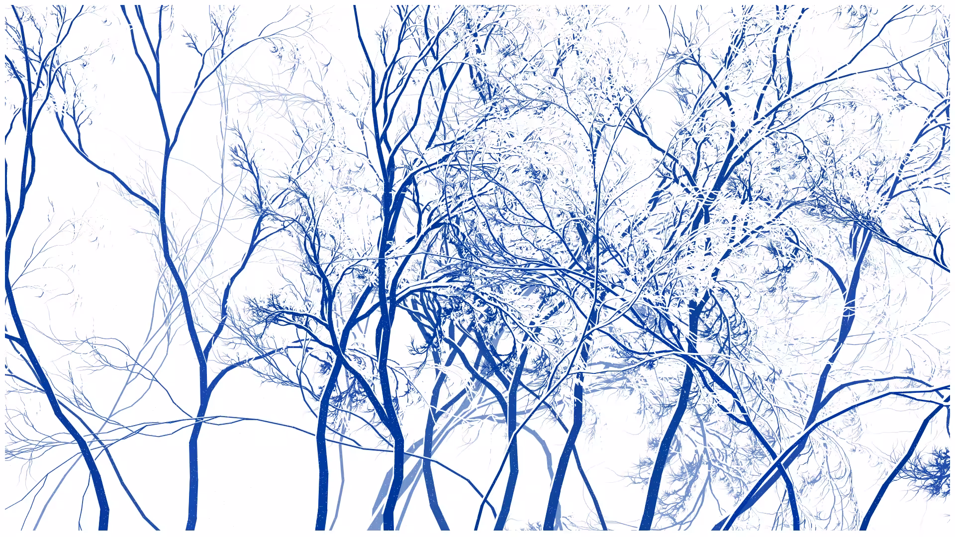 SCHNEEWALD #43