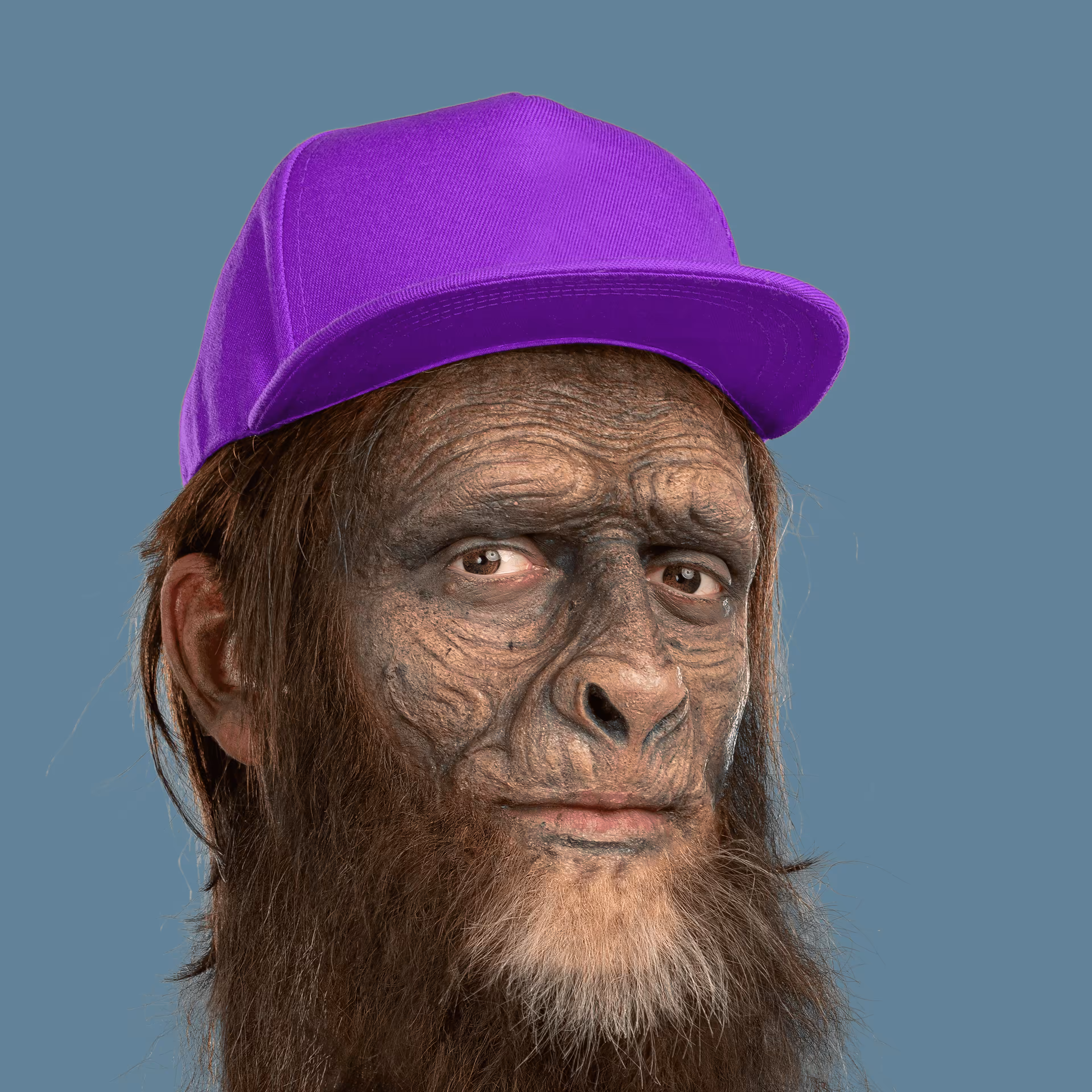 CryptoPunk 2491 is Alive