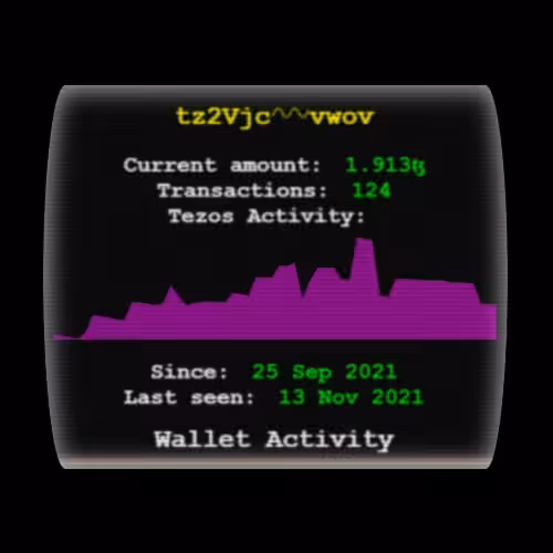 Wallet Activity