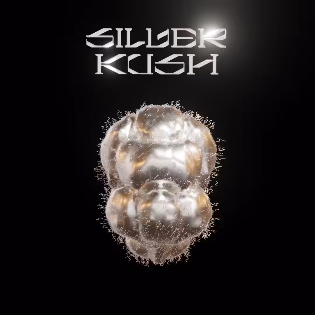 Silver Kush