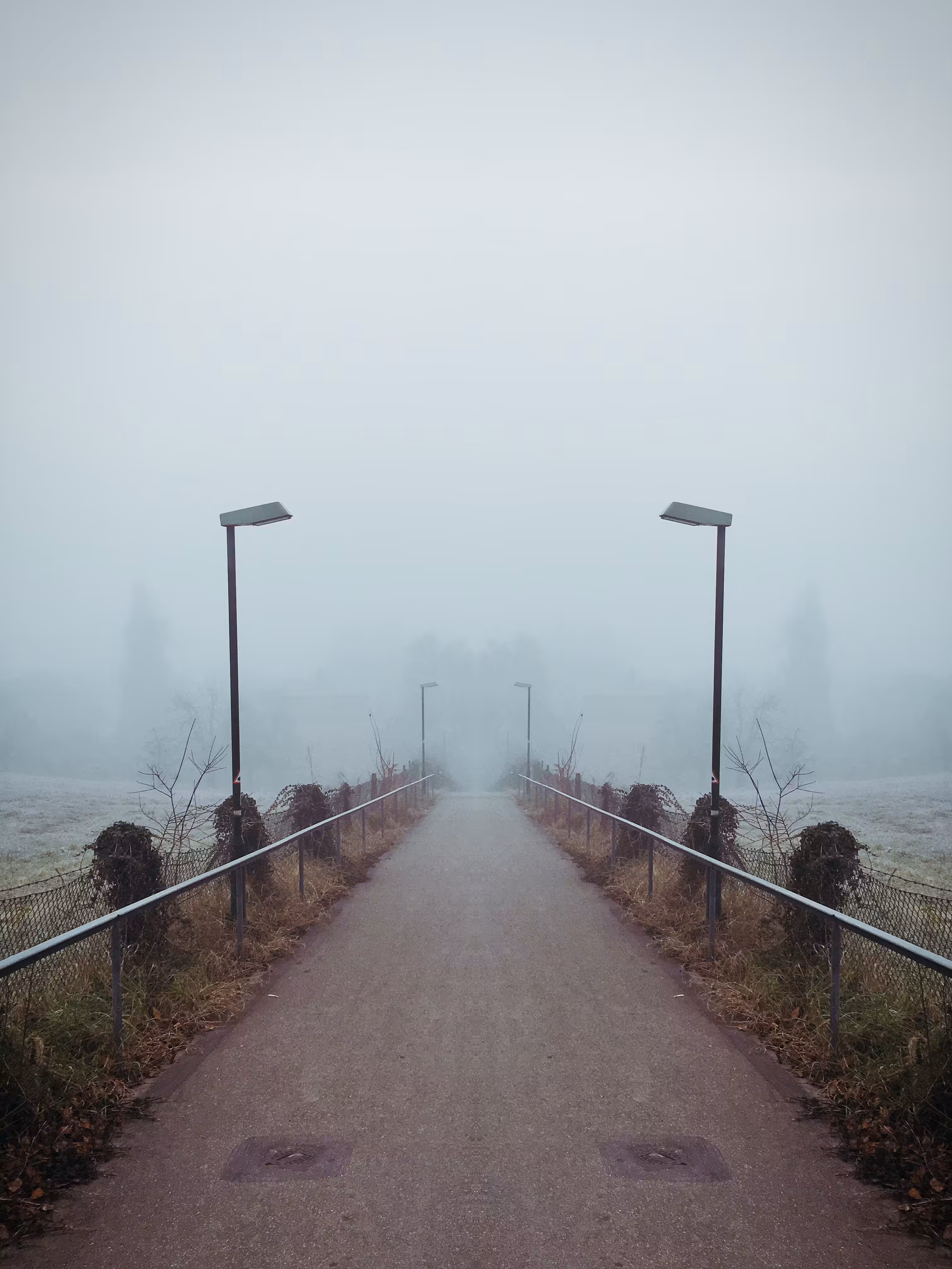 Symmetrography #10
