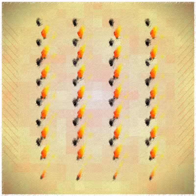 Maculas #32