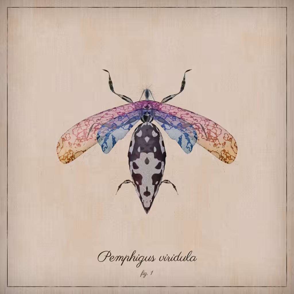 ProcGen Entomology #46