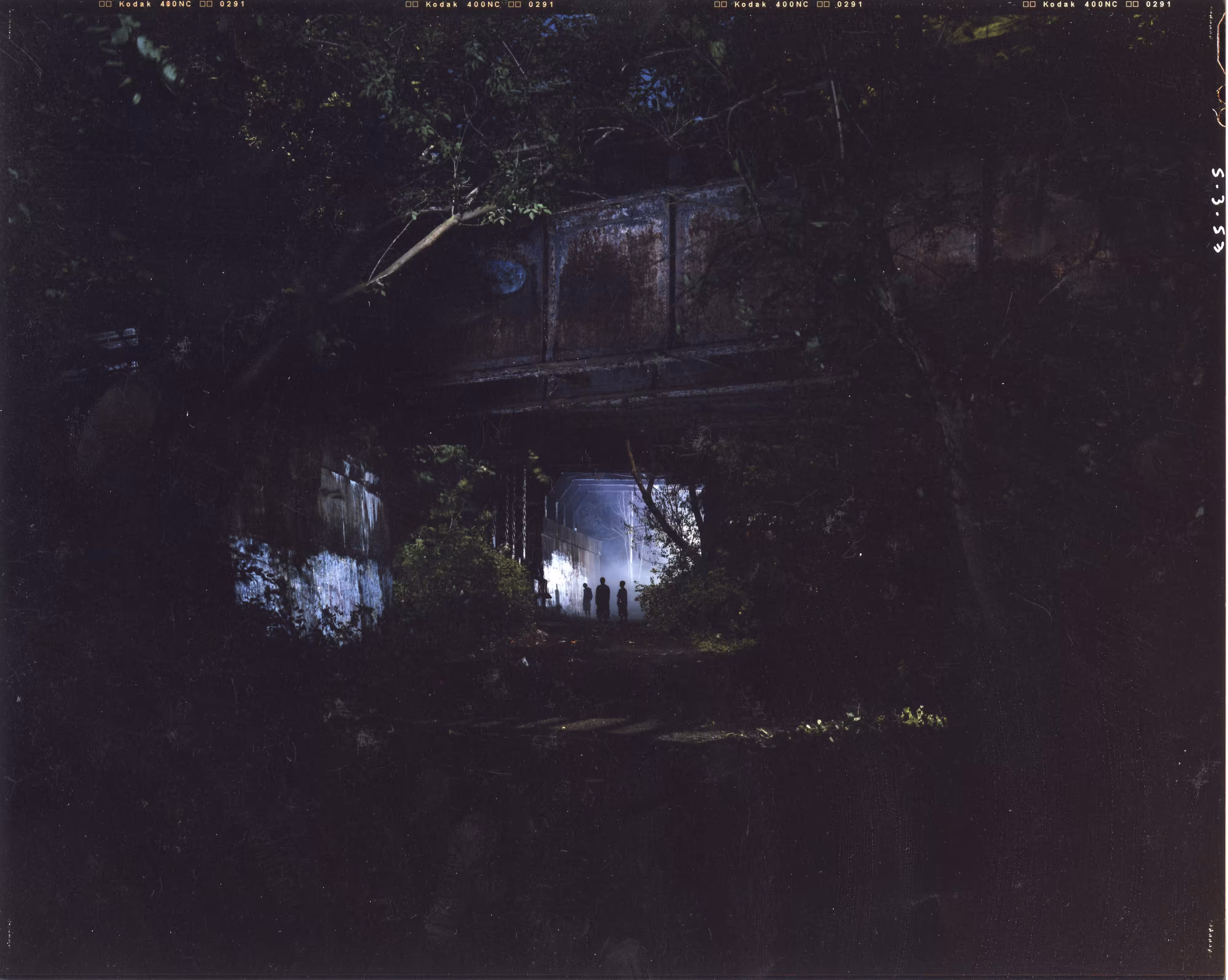 Beneath the Roses, 2003-2008 [Shane Bundle] 8 x 10 Contact Print [No. 1]
