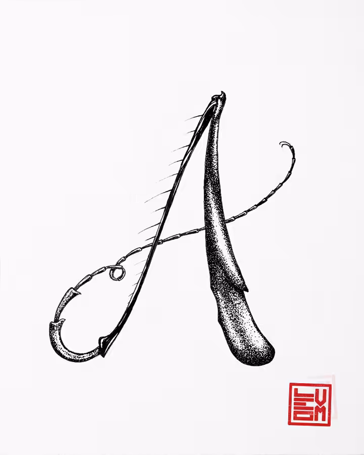 A - Insecttering
