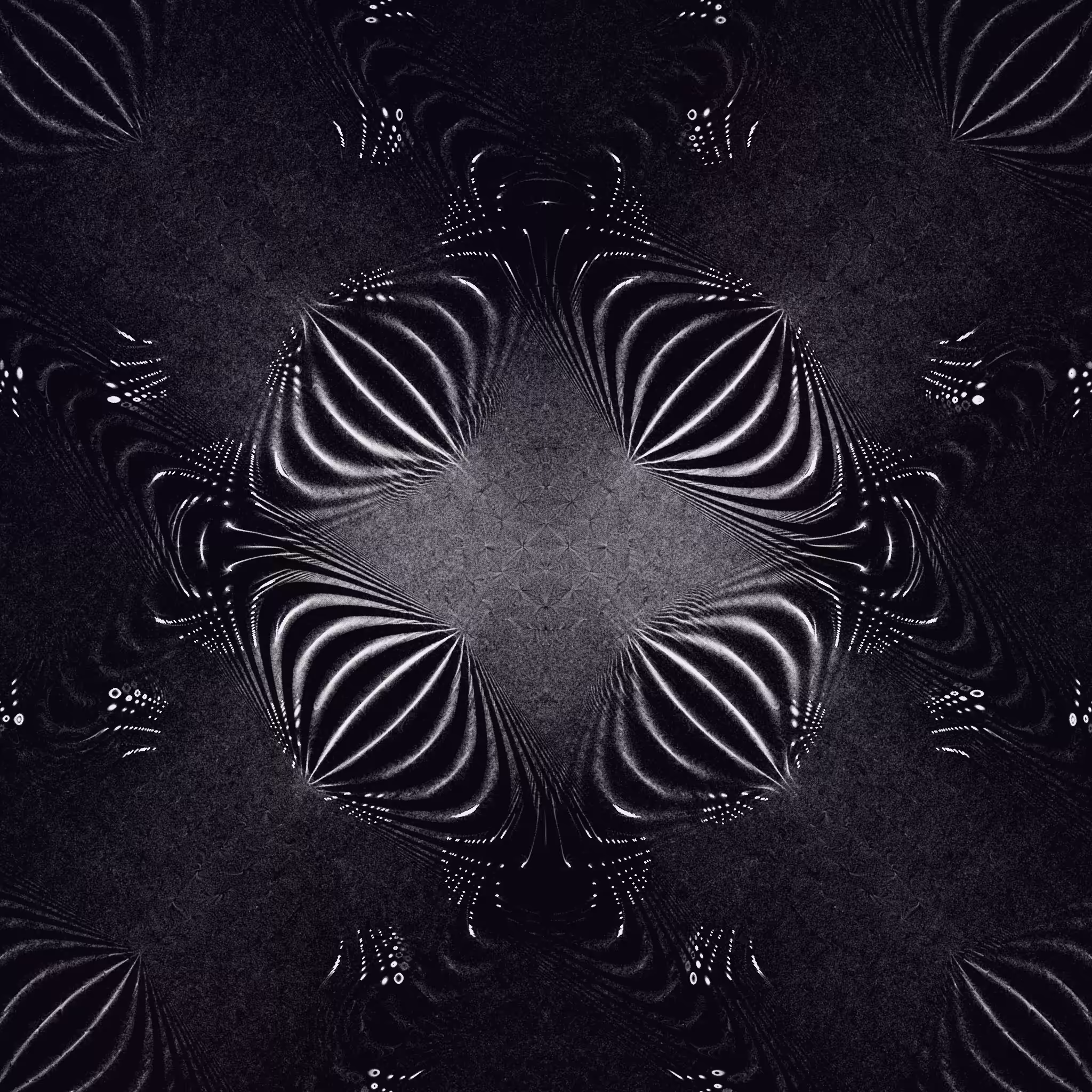 Amerkle #221