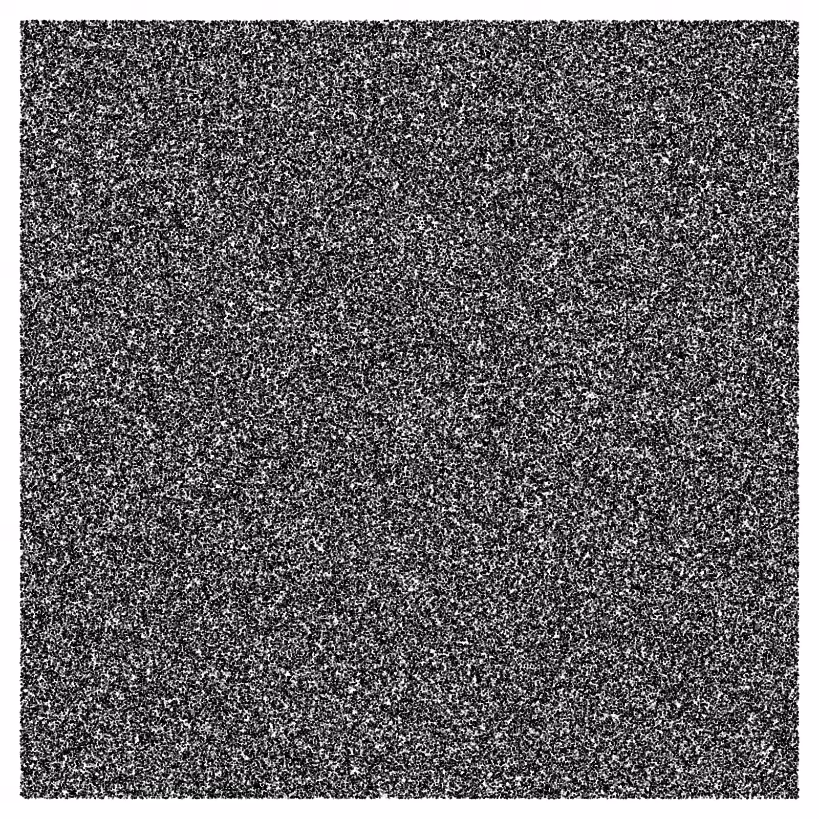 Noise #55