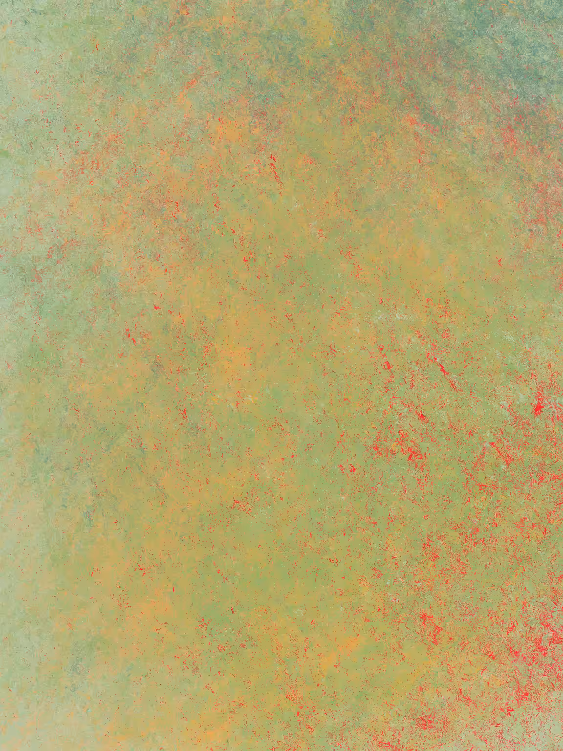 Remains #239