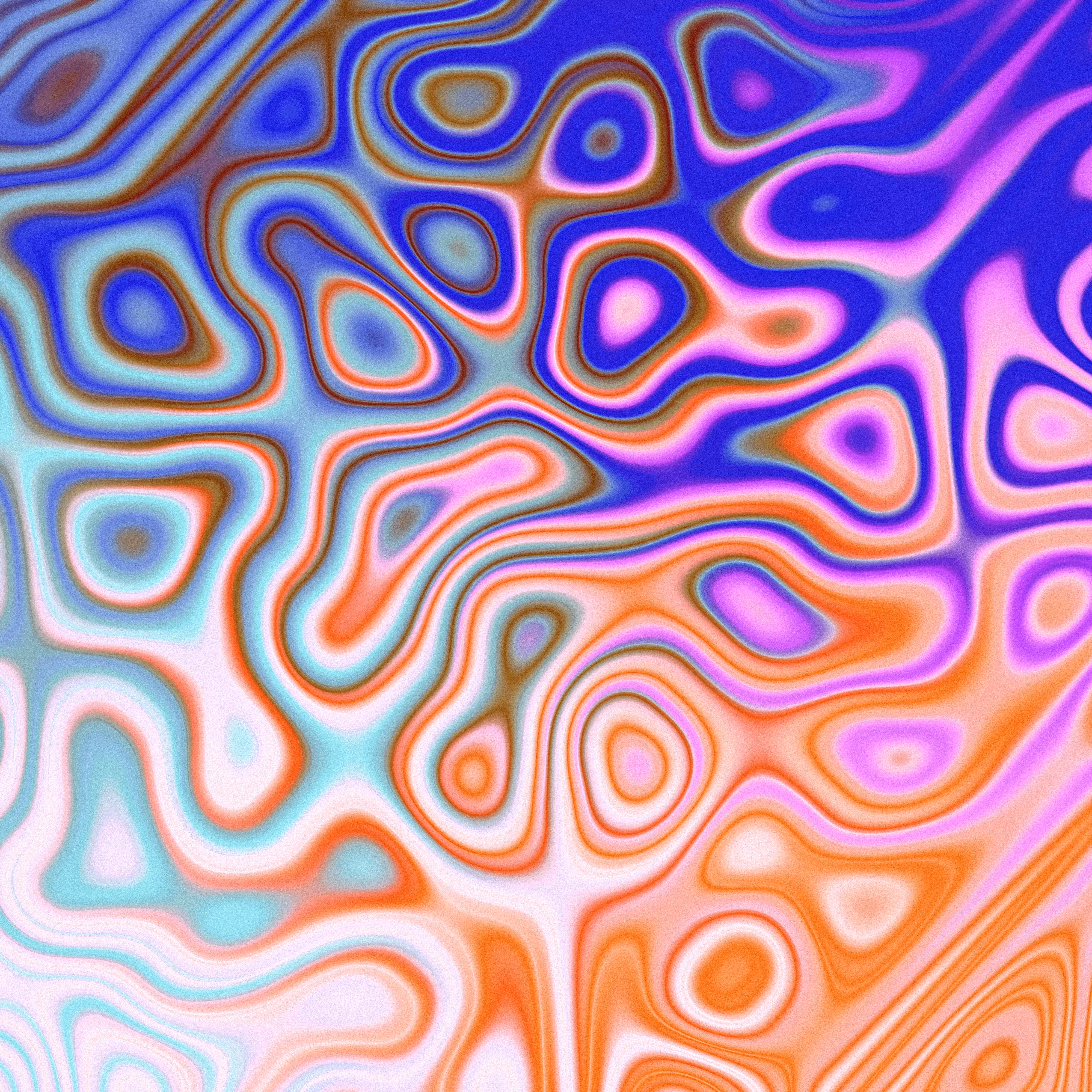  56