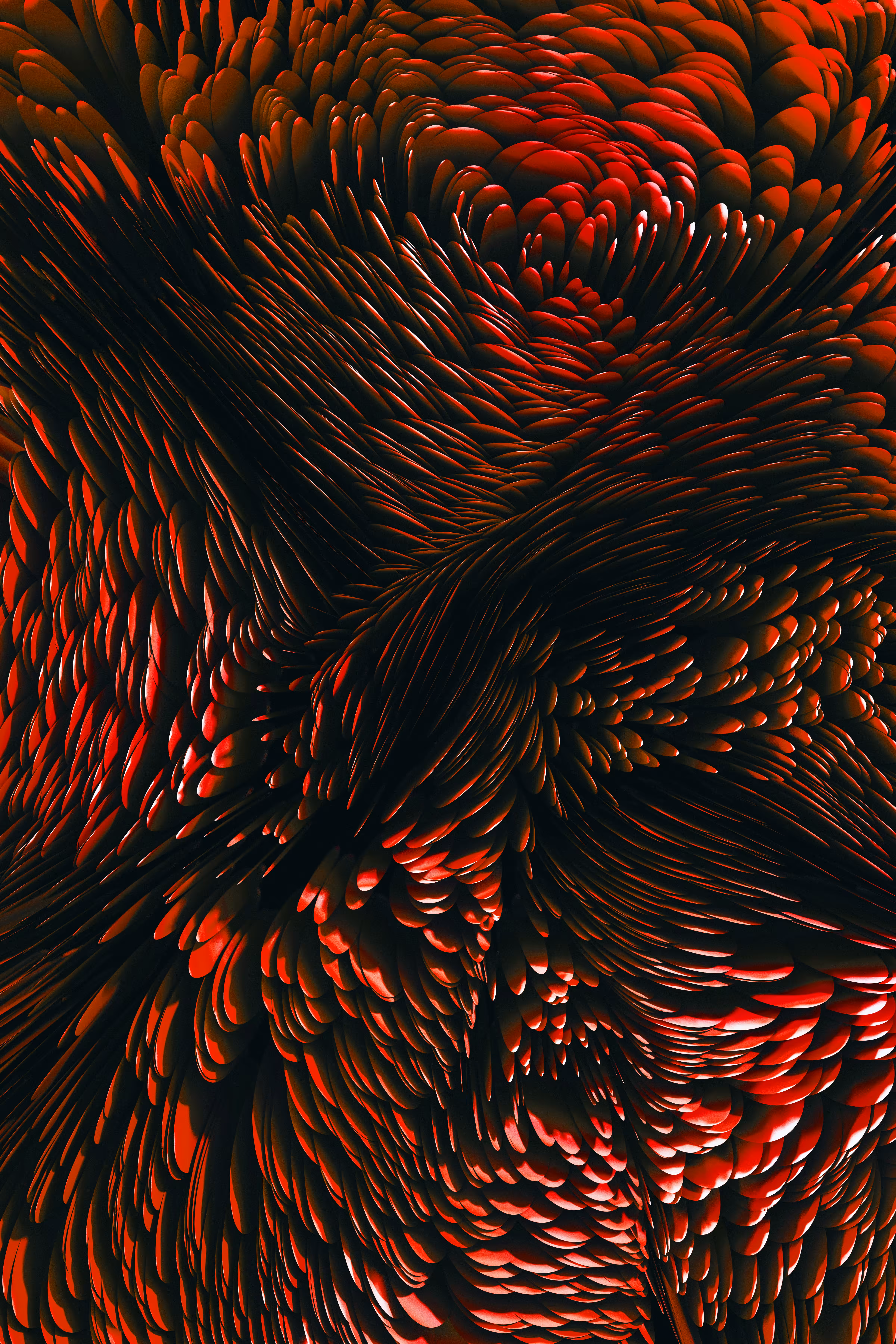 BB-0047 Space Roses