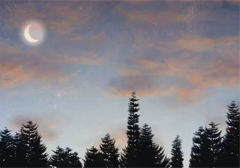 Skyscapes #15