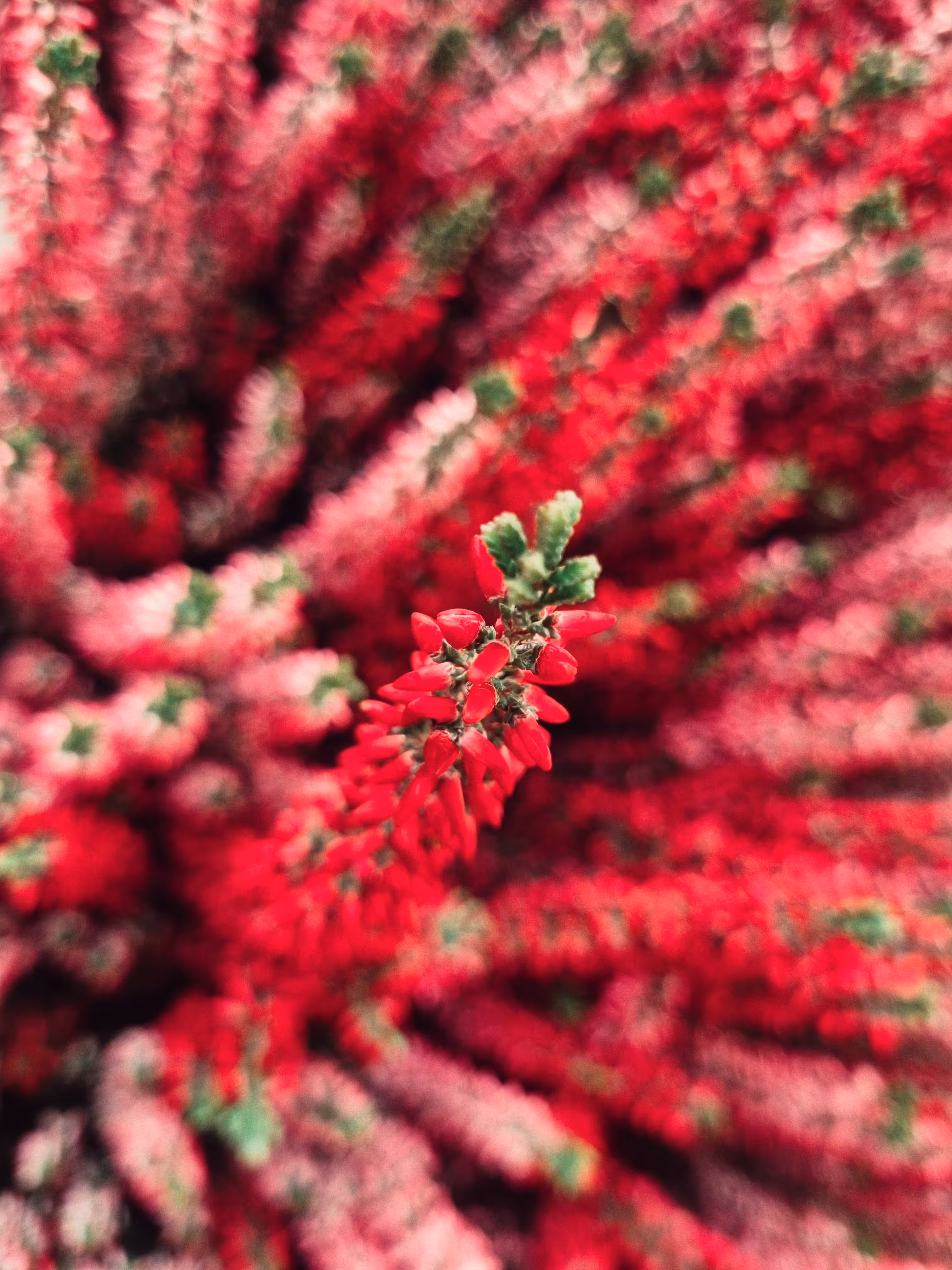 redshift