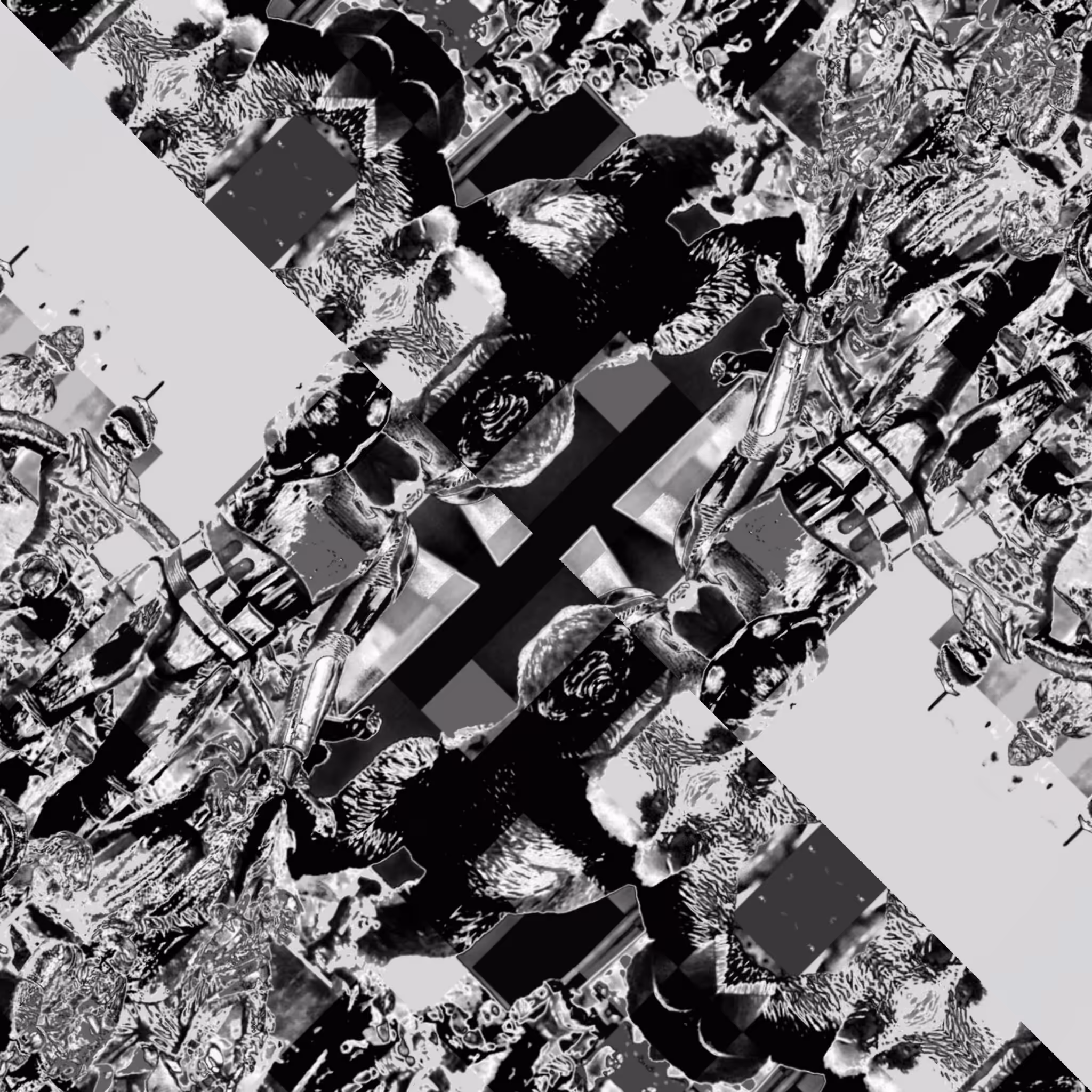 The World in Black & White I