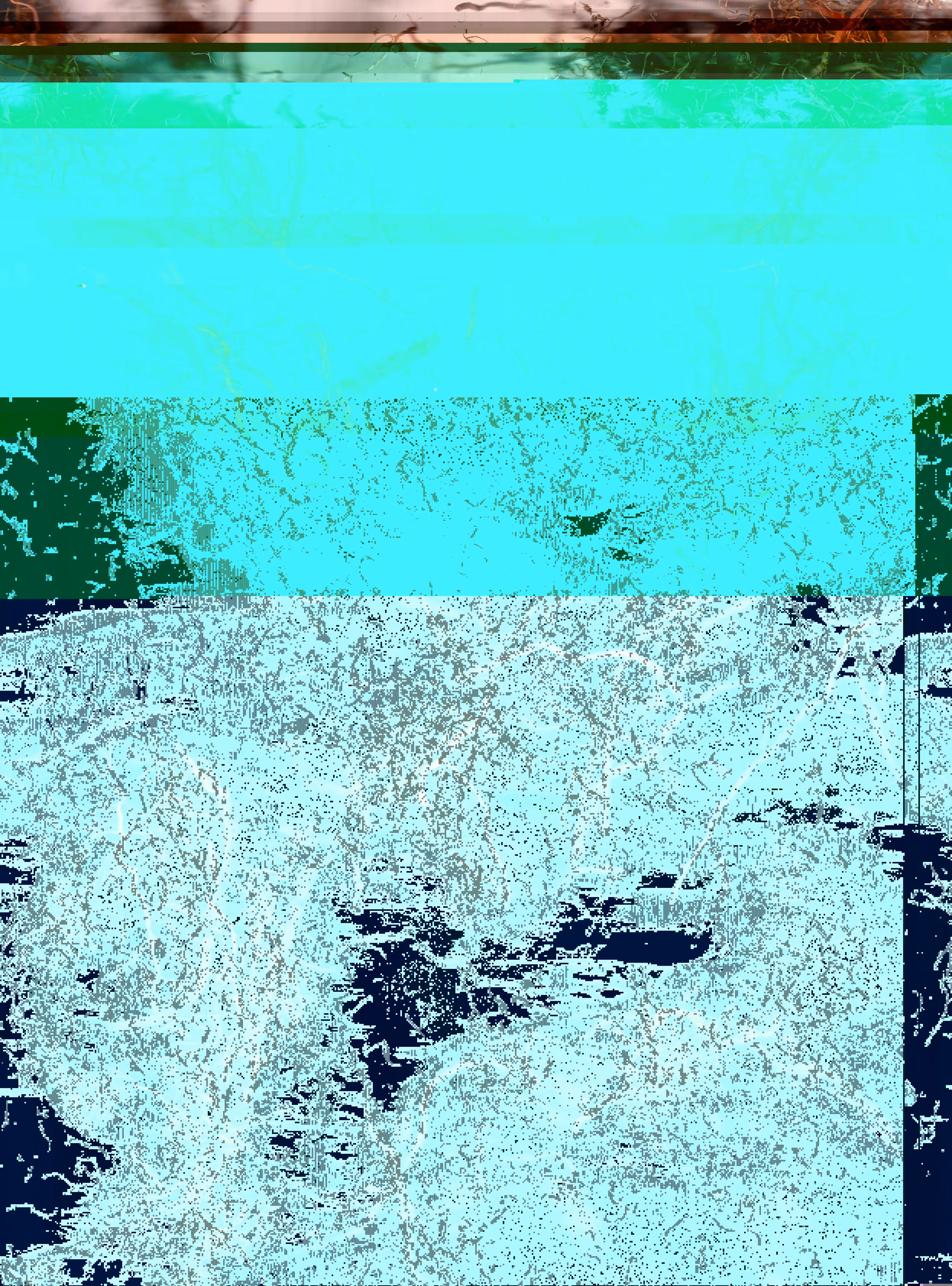 Blorgg Honklorph Malfonxia r[4]