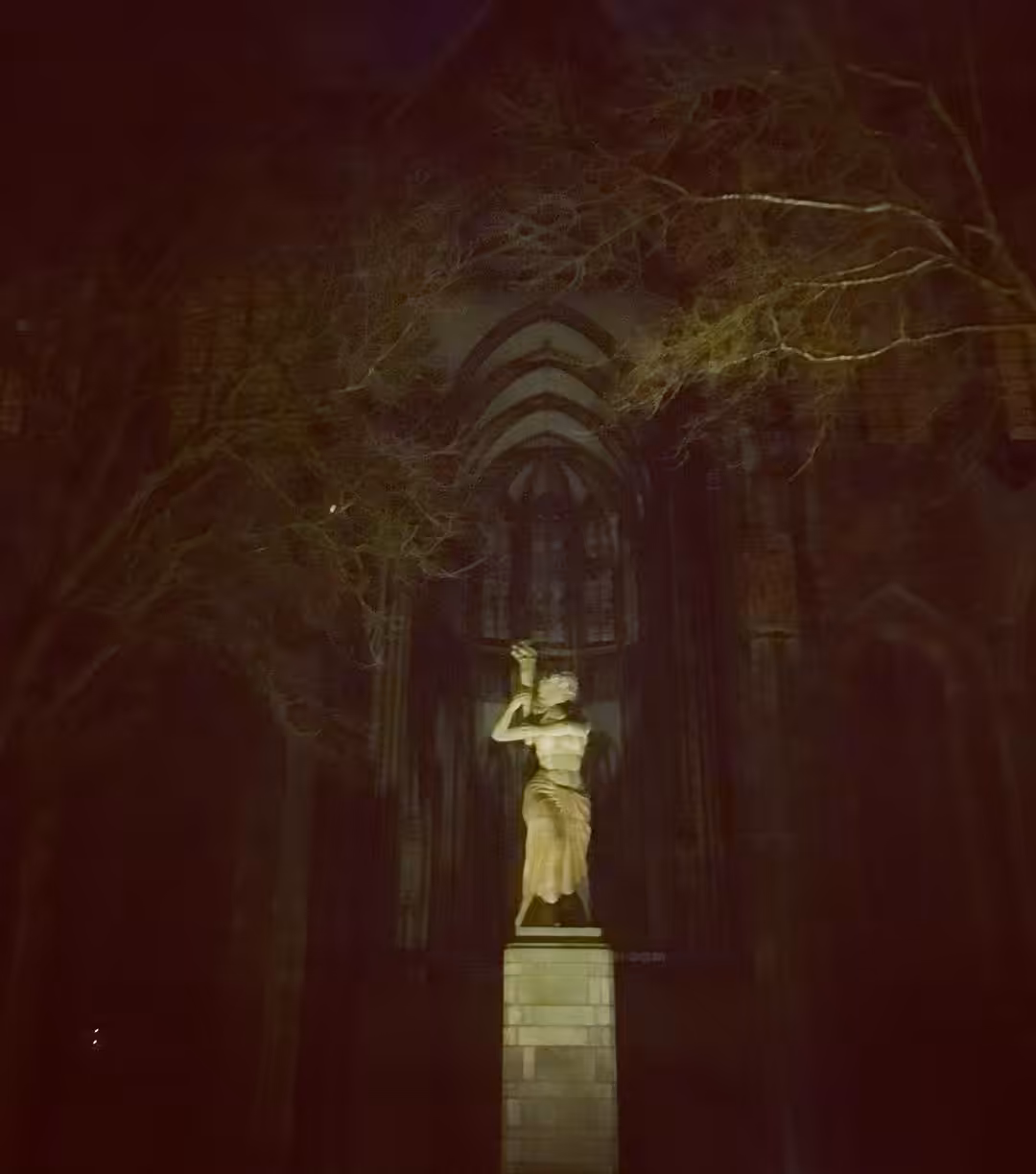 Resist the Night