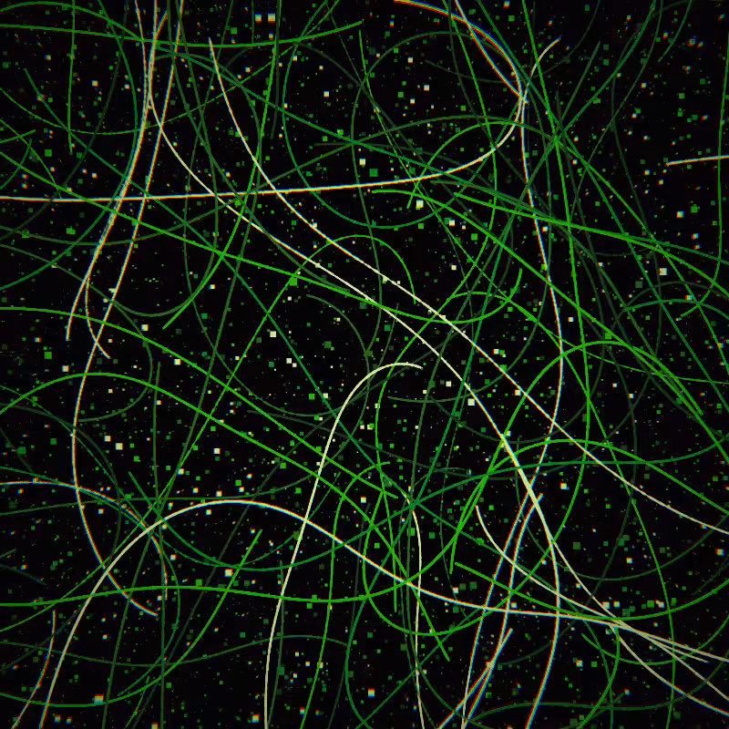 Neon Curves #51