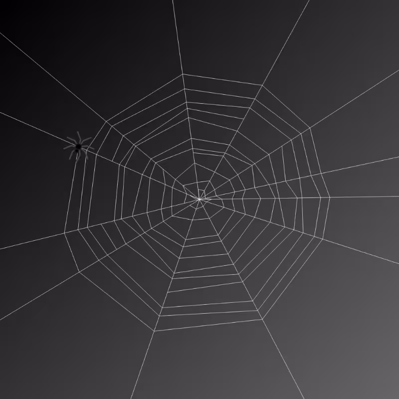 Weaving Spiders #7