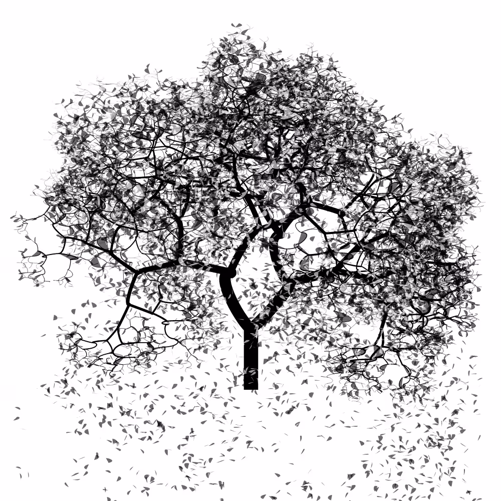 Bézier Bloom #45
