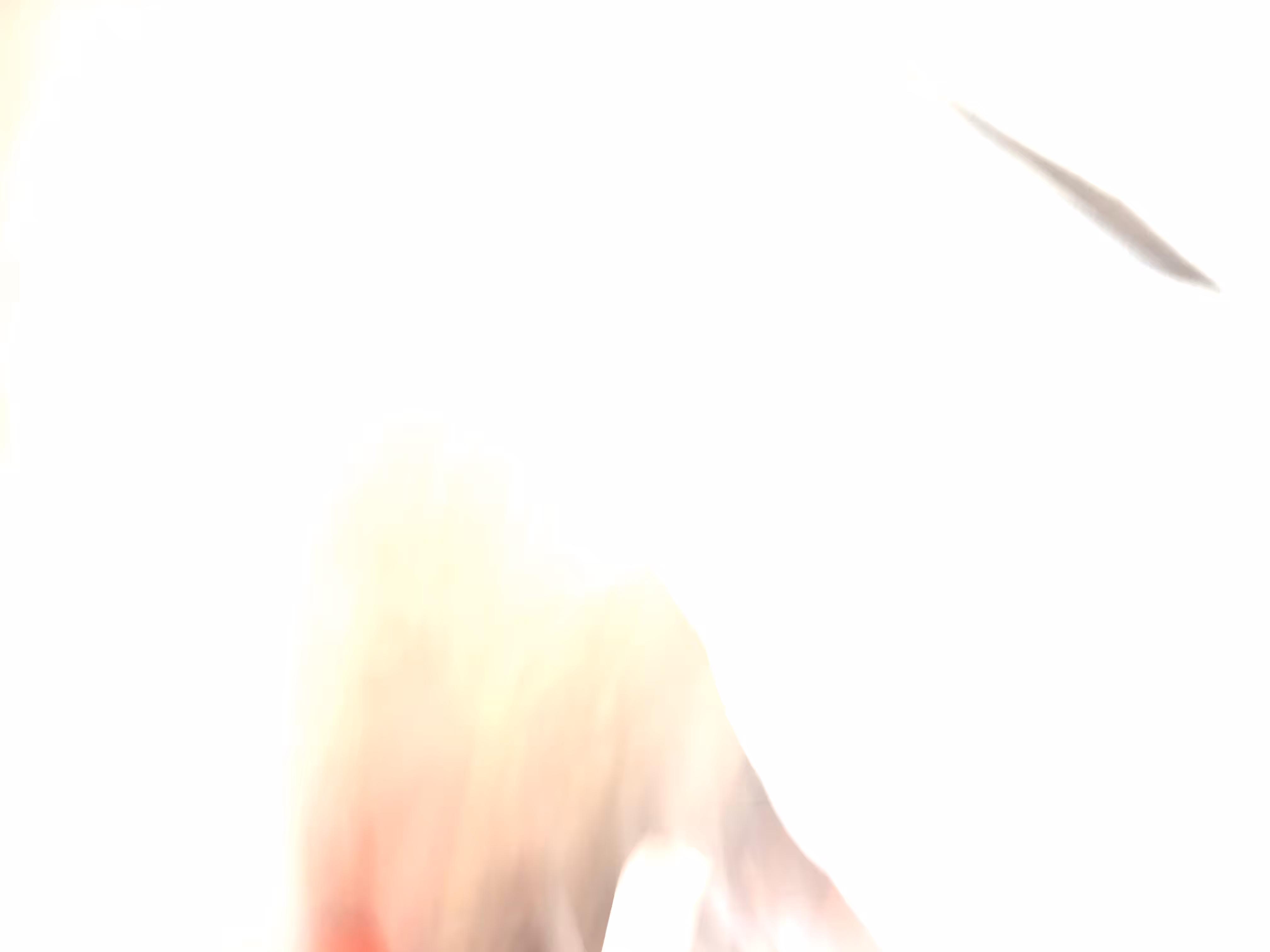 Ephemera