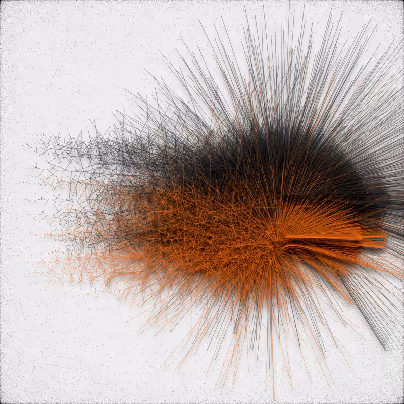 urchin #35