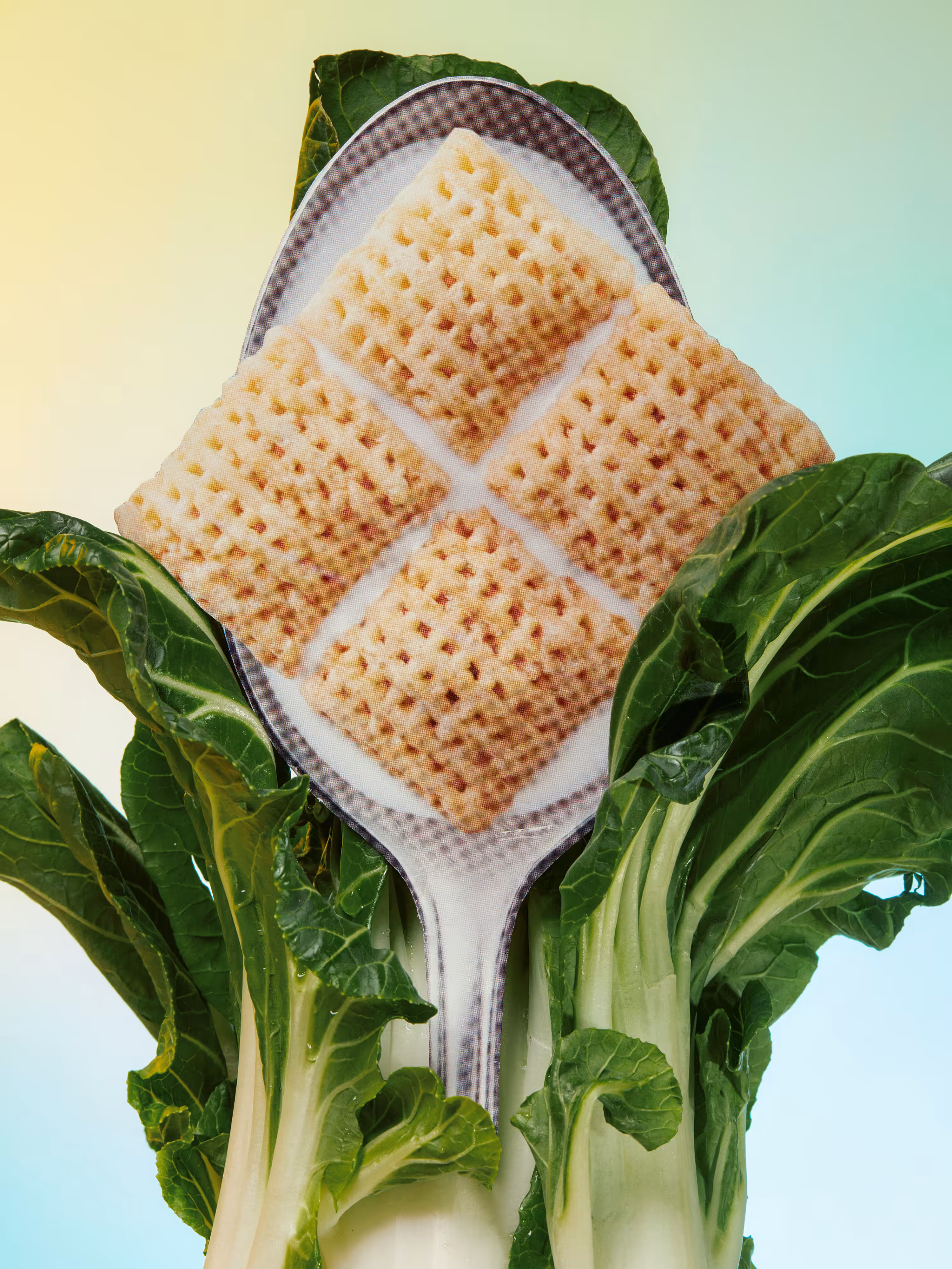 Birth of Chex