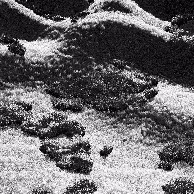 California Hills in Late Sun #57