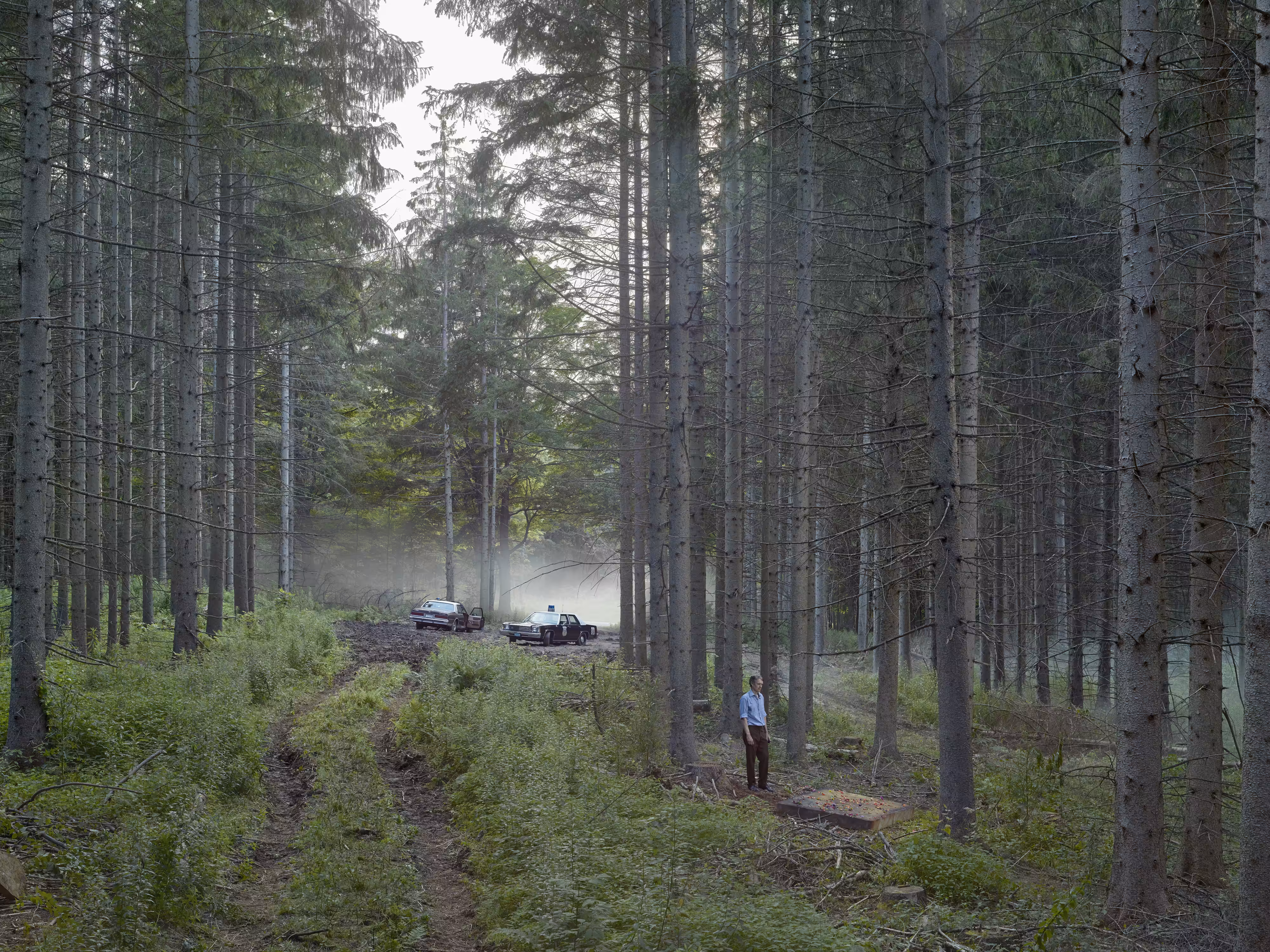The Mattress, 2014