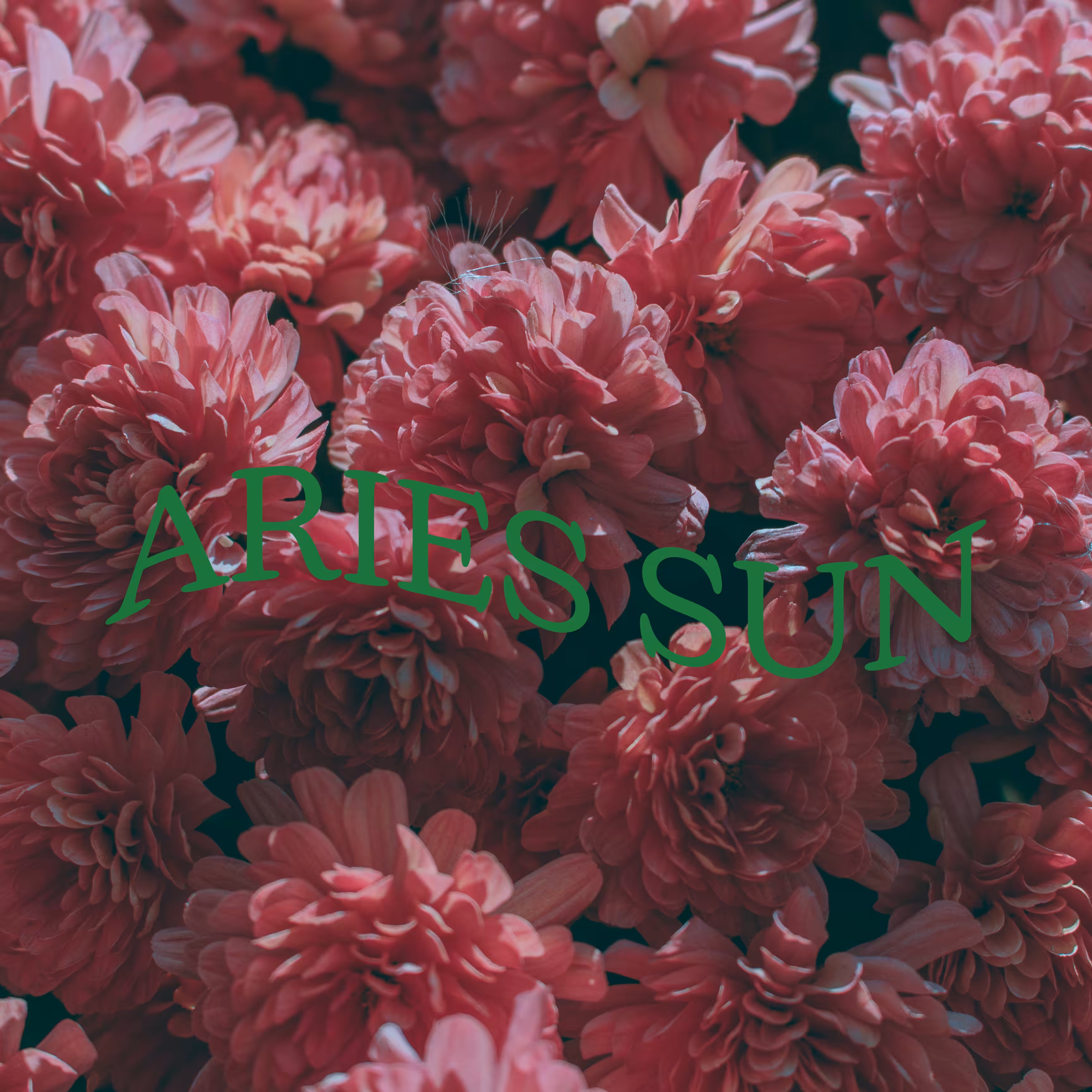 aries sun