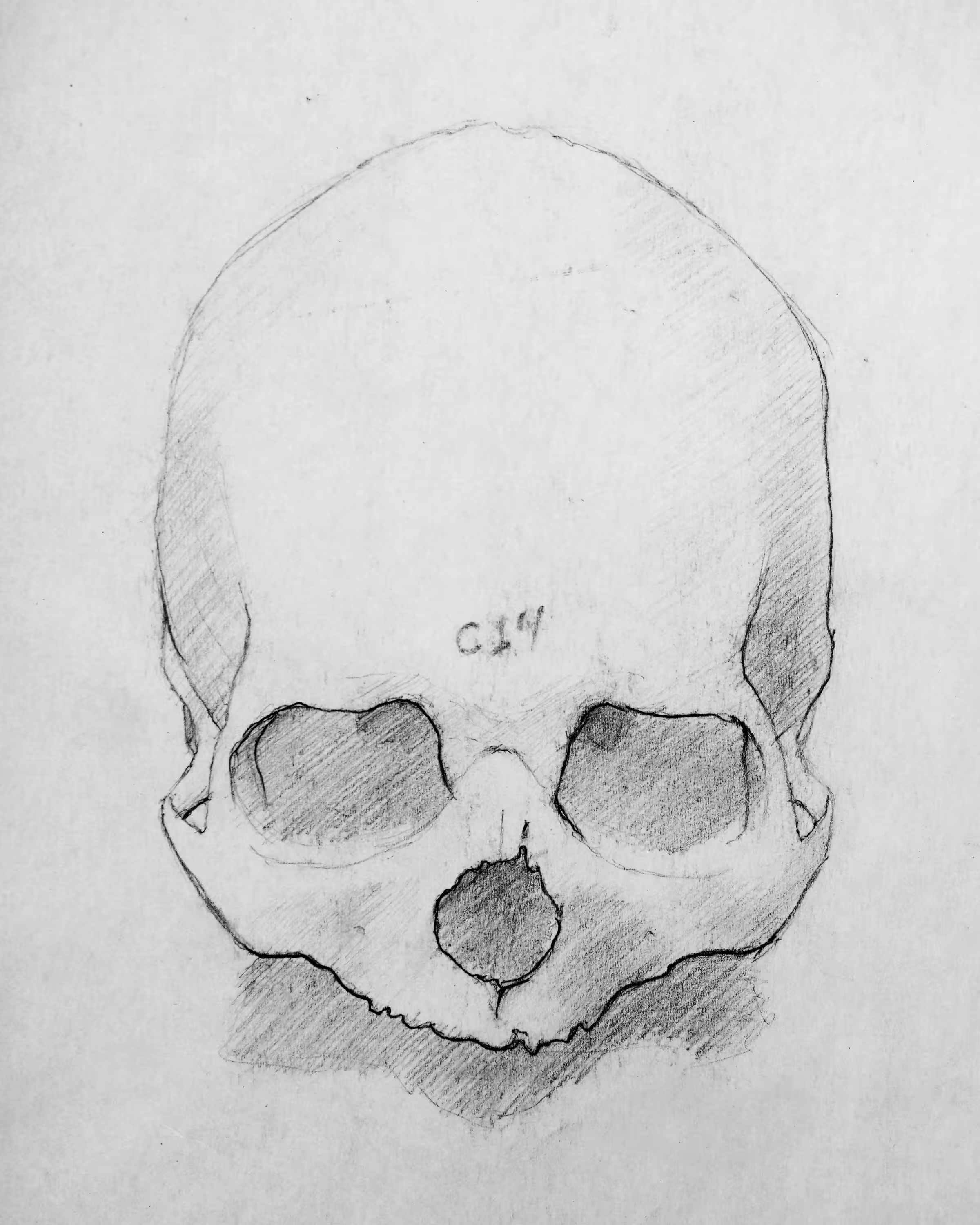 Anatomy Study V