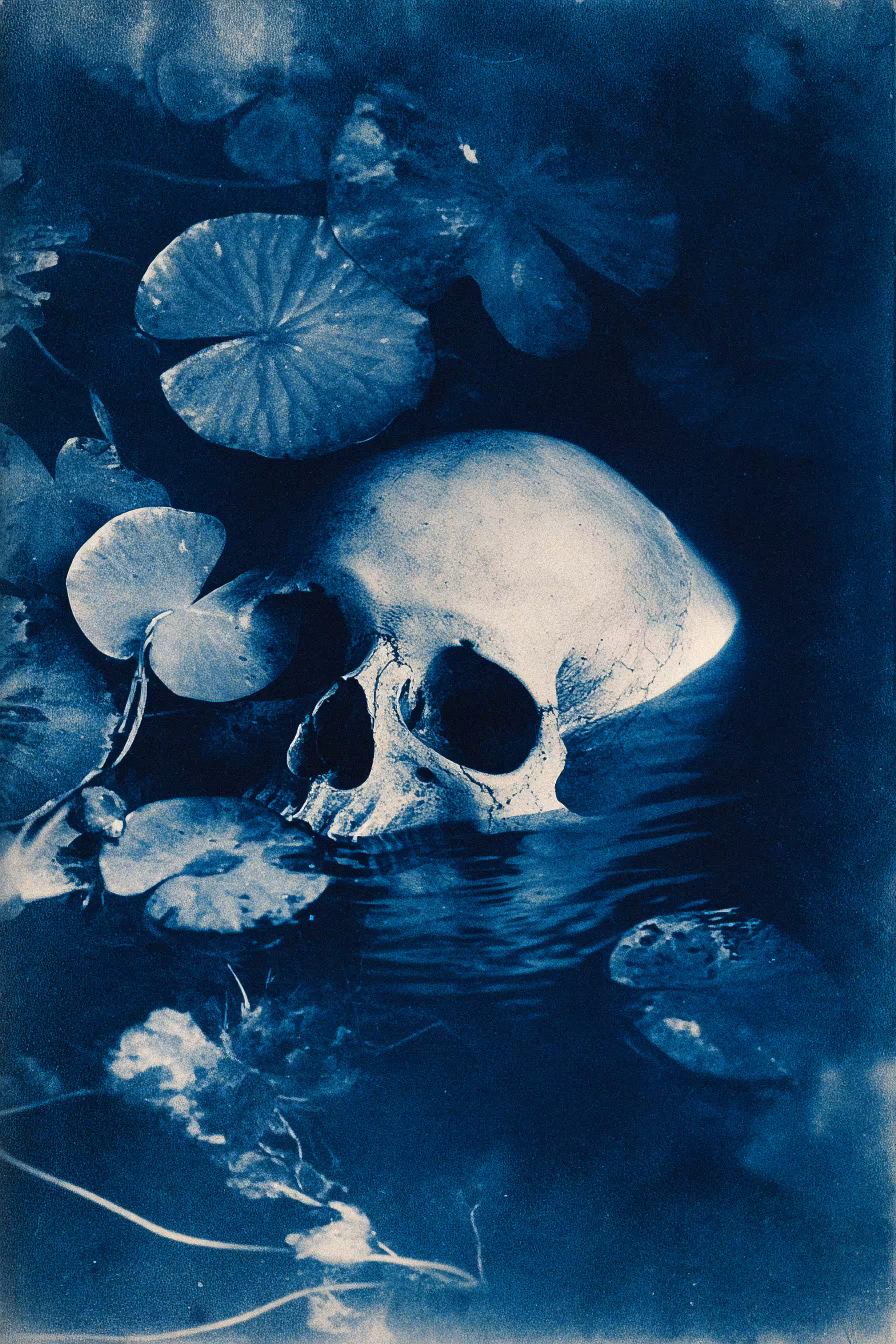 The Hours Before Returning: The Still Beneath