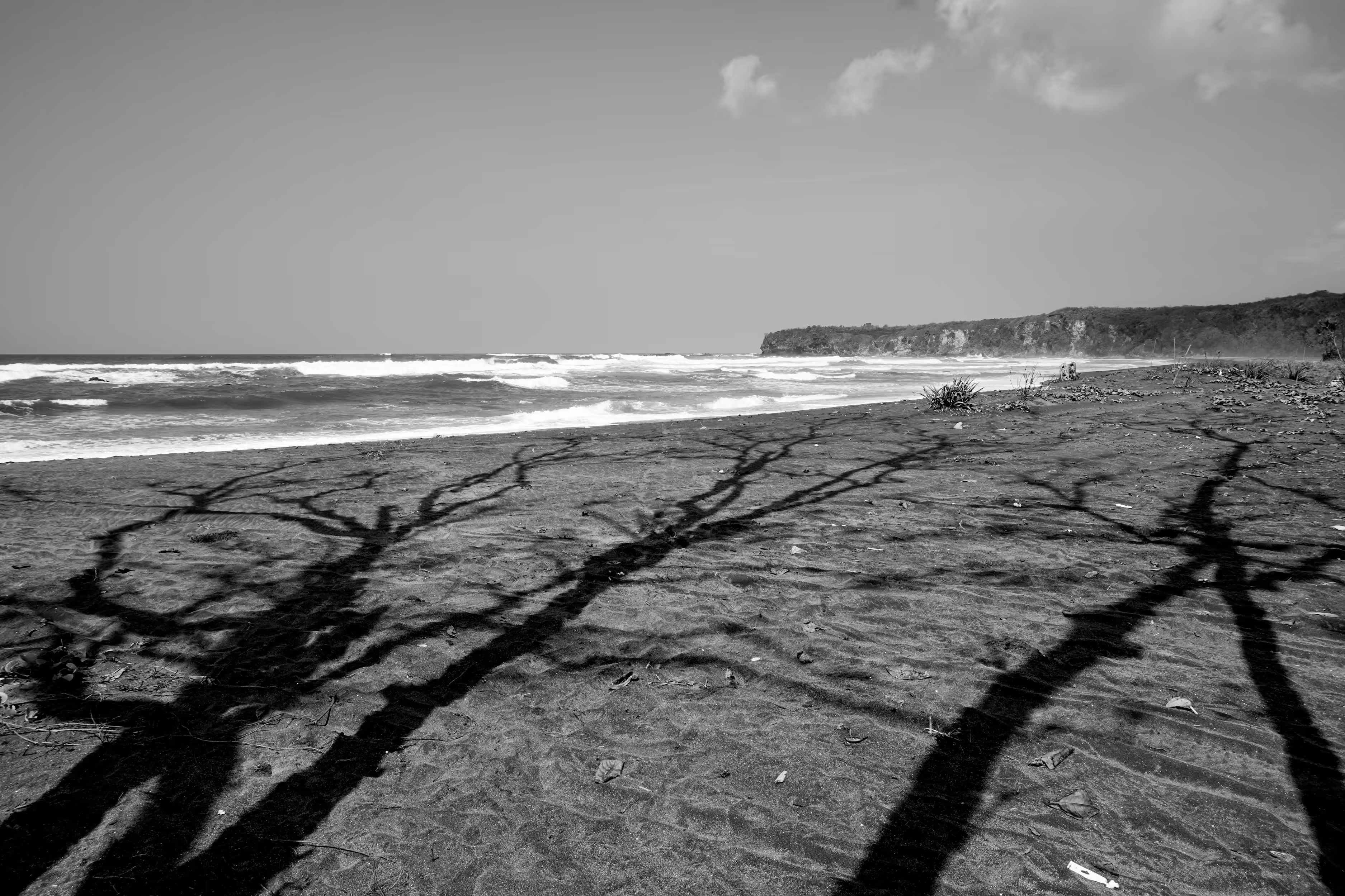Feeling Lonely, but Shadows Dancing With Me
