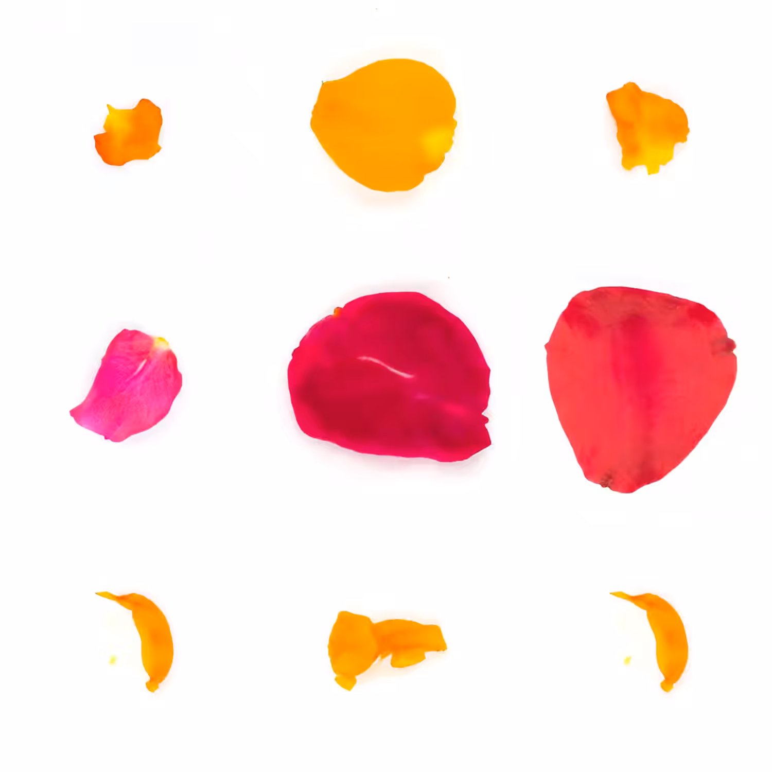 Infinite Petals 3x3#3194