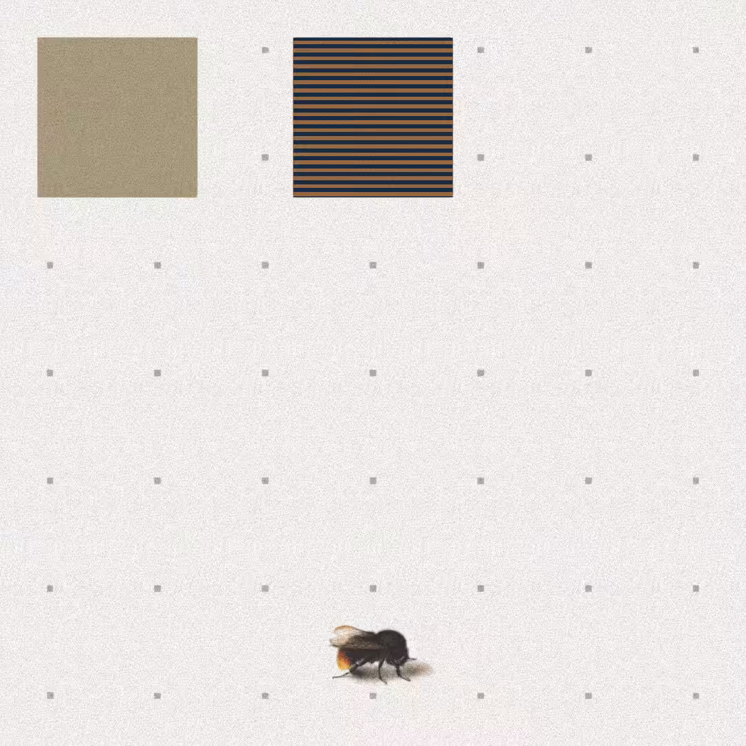 Bee #5