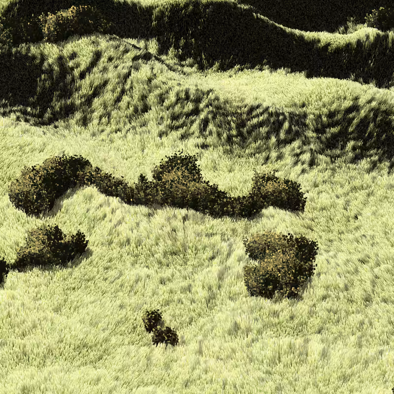 California Hills in Late Sun #180