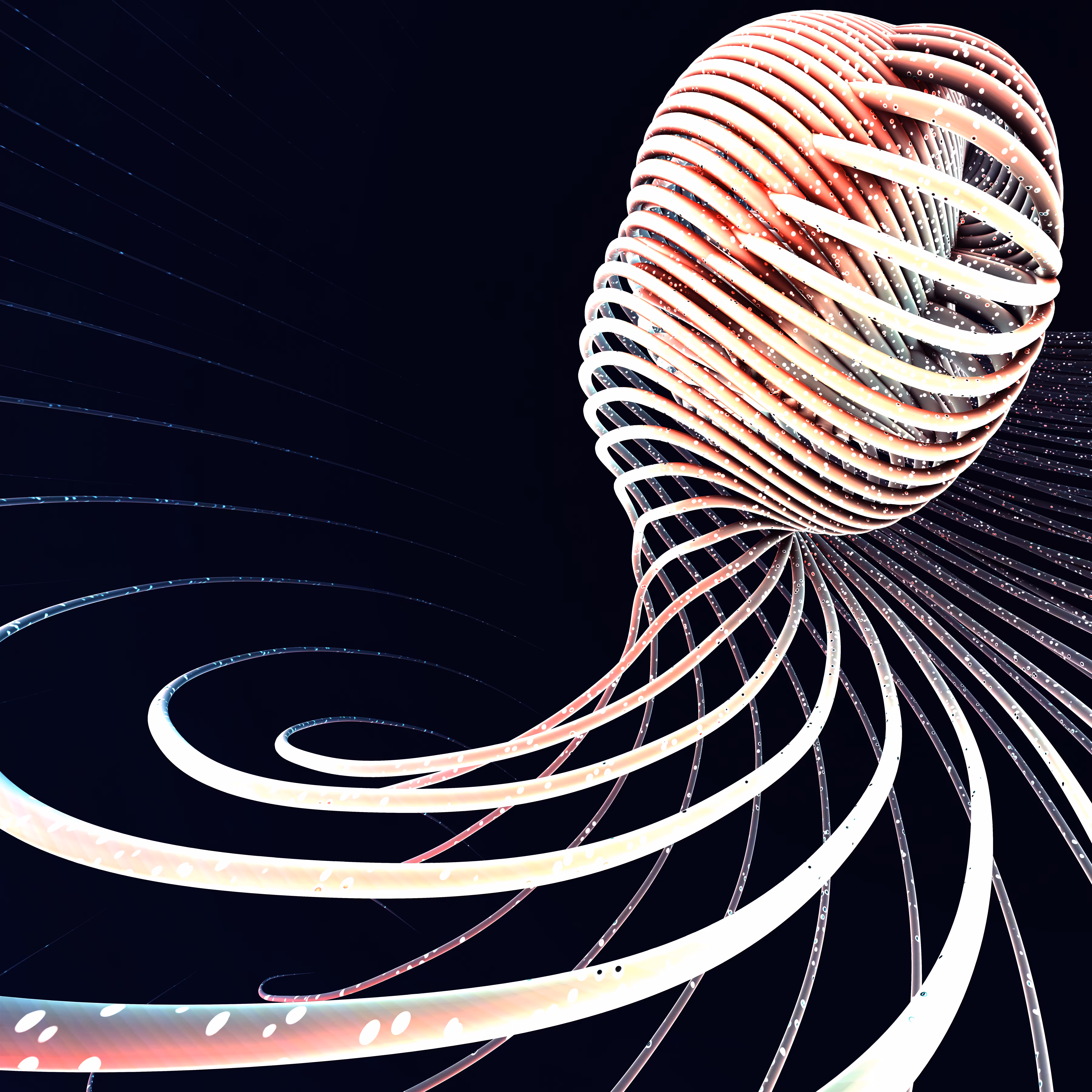 Ammonite-17
