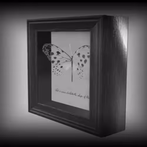 3D Art: Lycorea Ilione