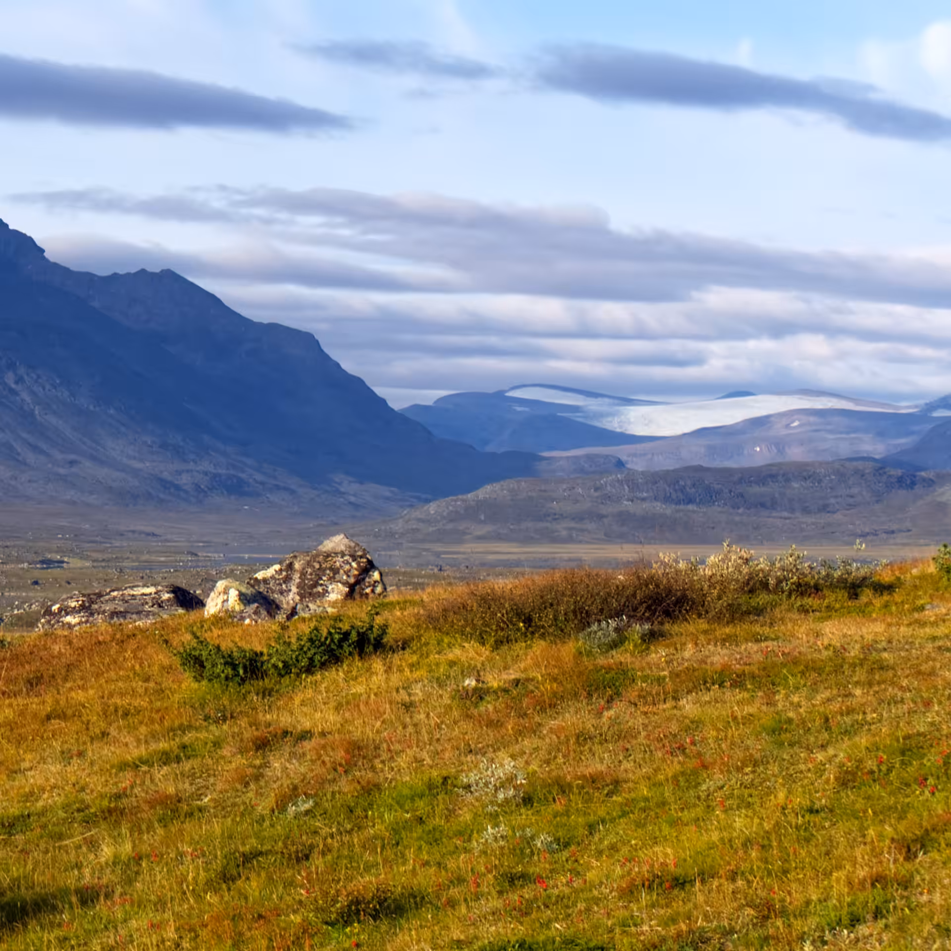 Fjällscape.4