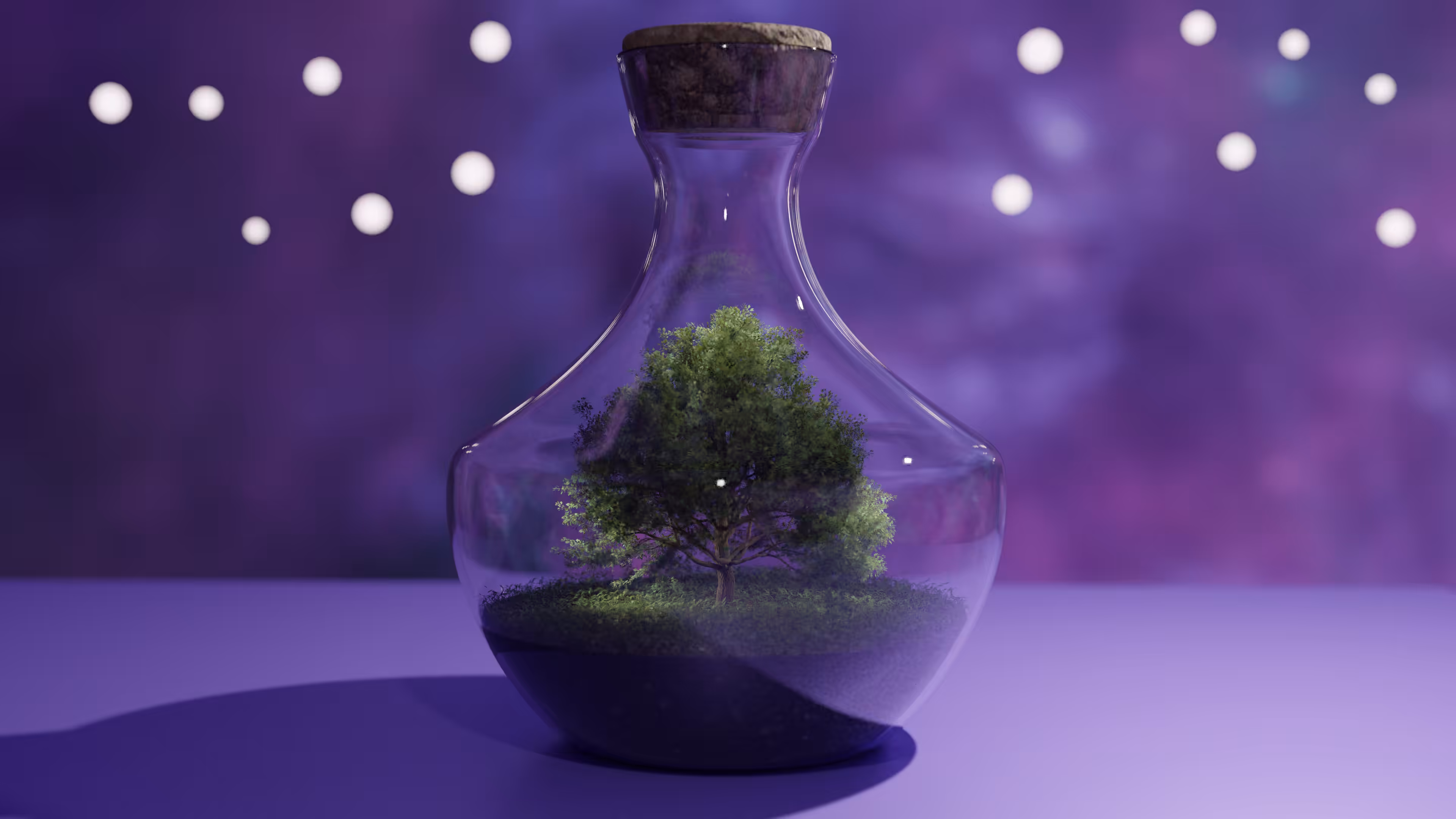 Make a wish