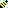 Lil Bumble Bee