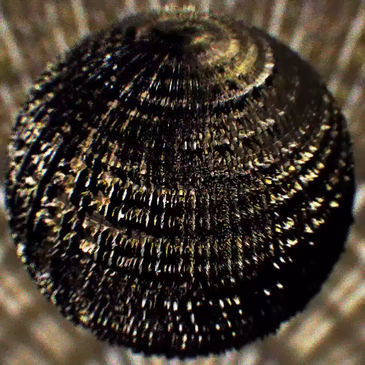 motion depth