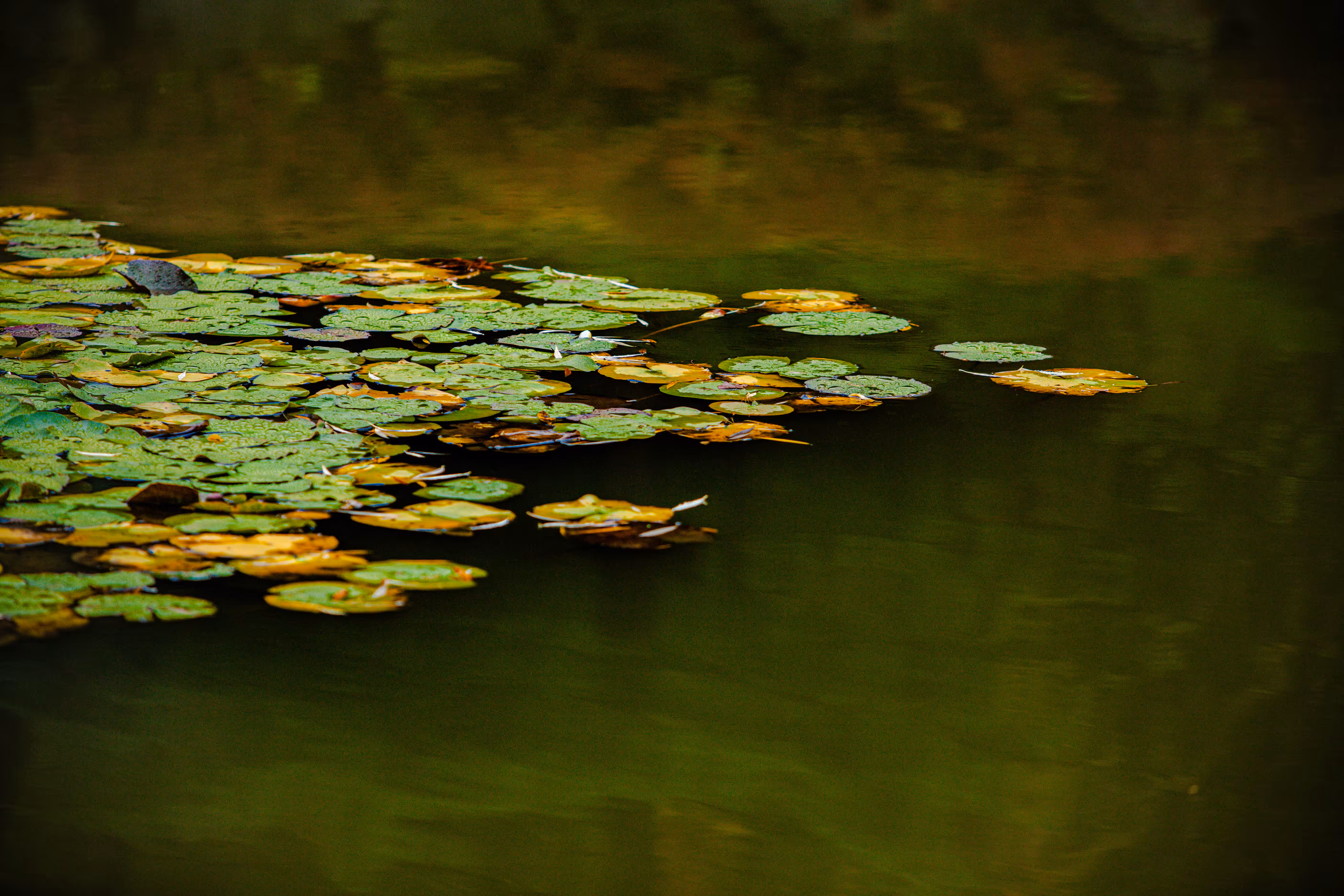 Infinite Stillness