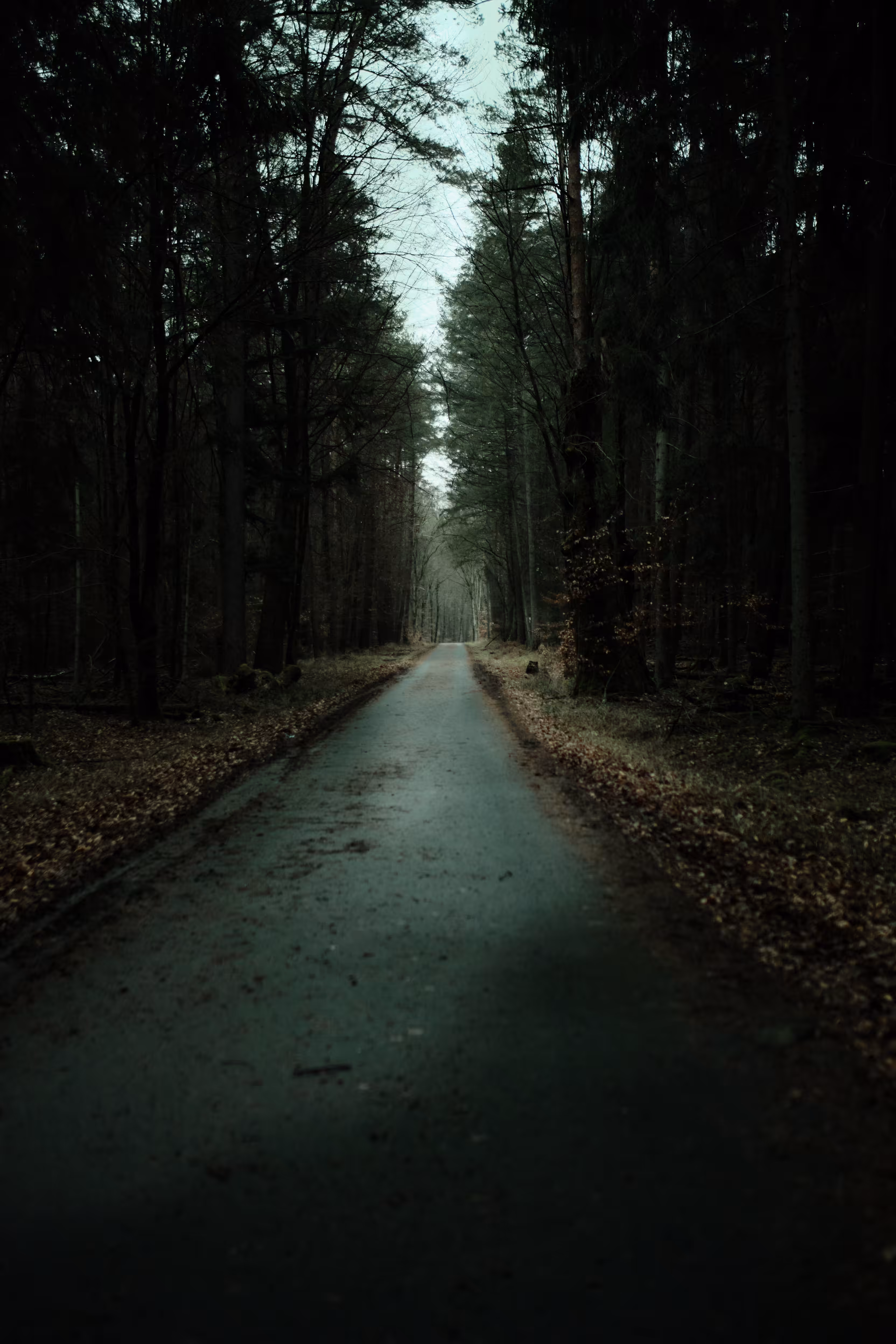 Road to nowhere