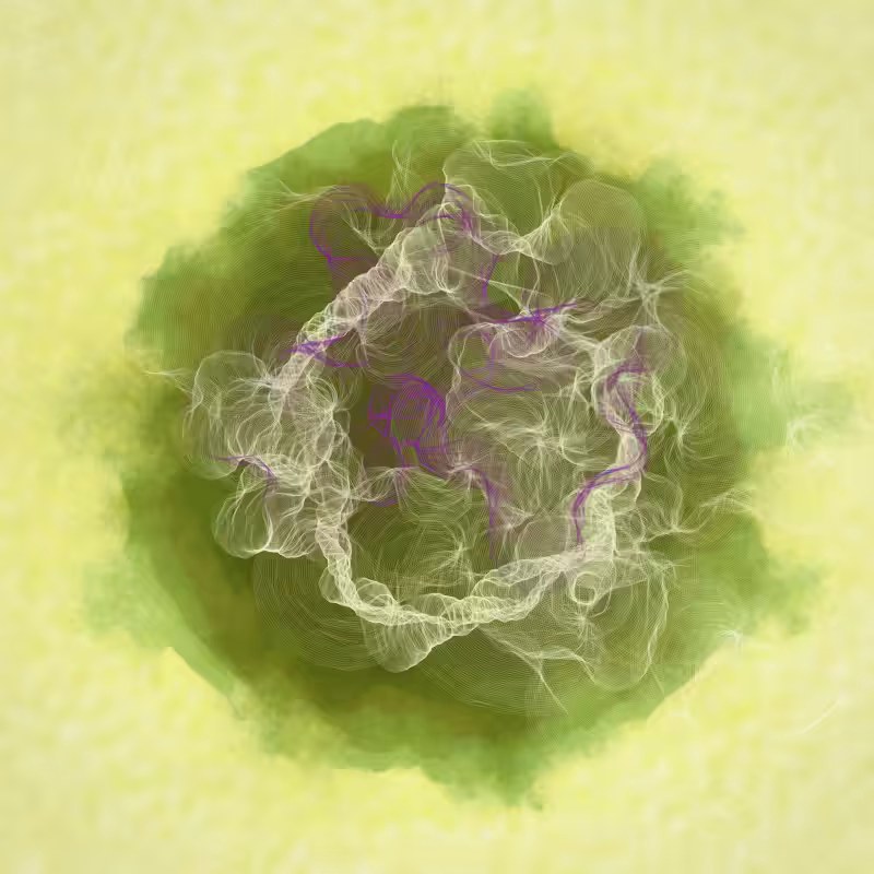 Sunspots #129