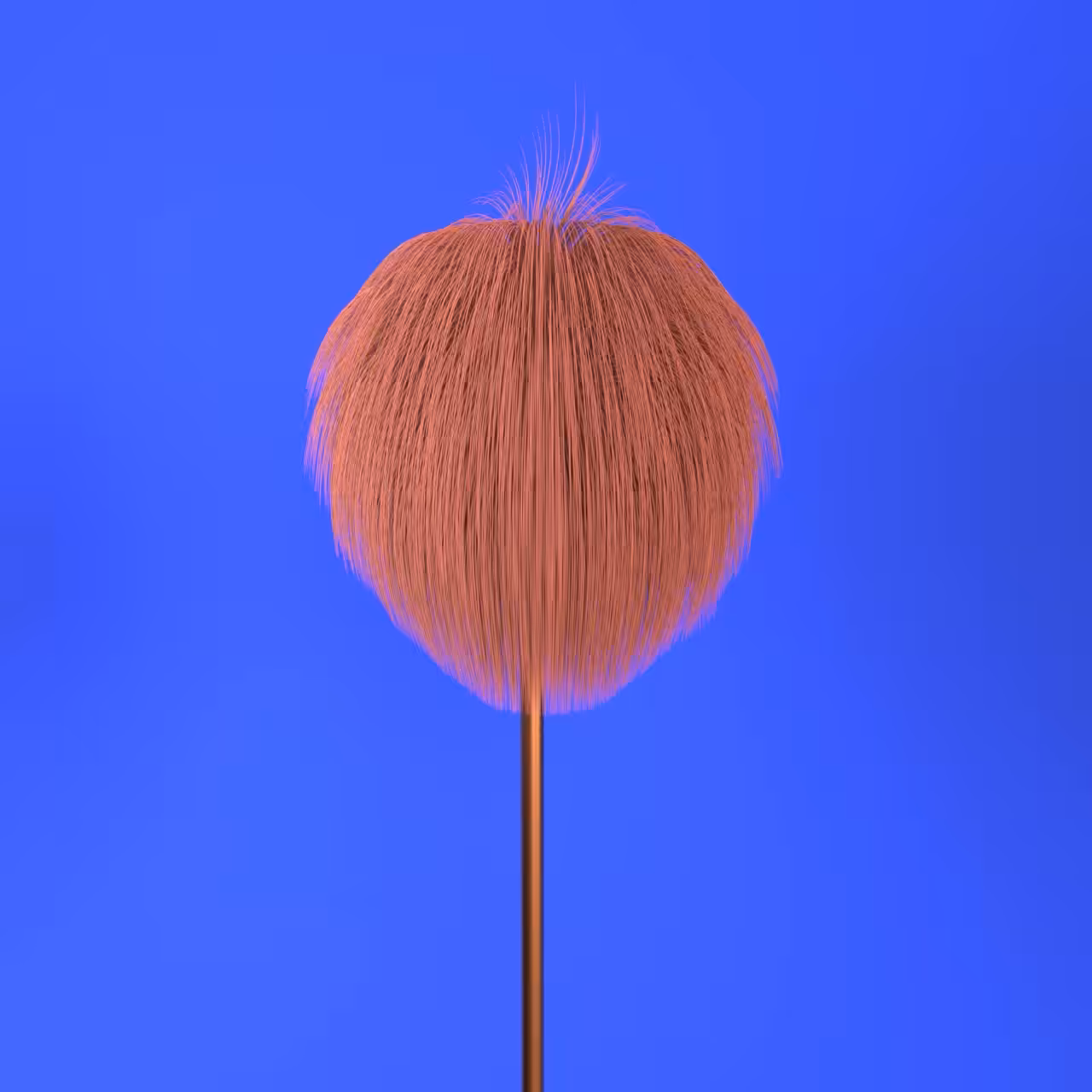 "Lolly's day out" - Camp
