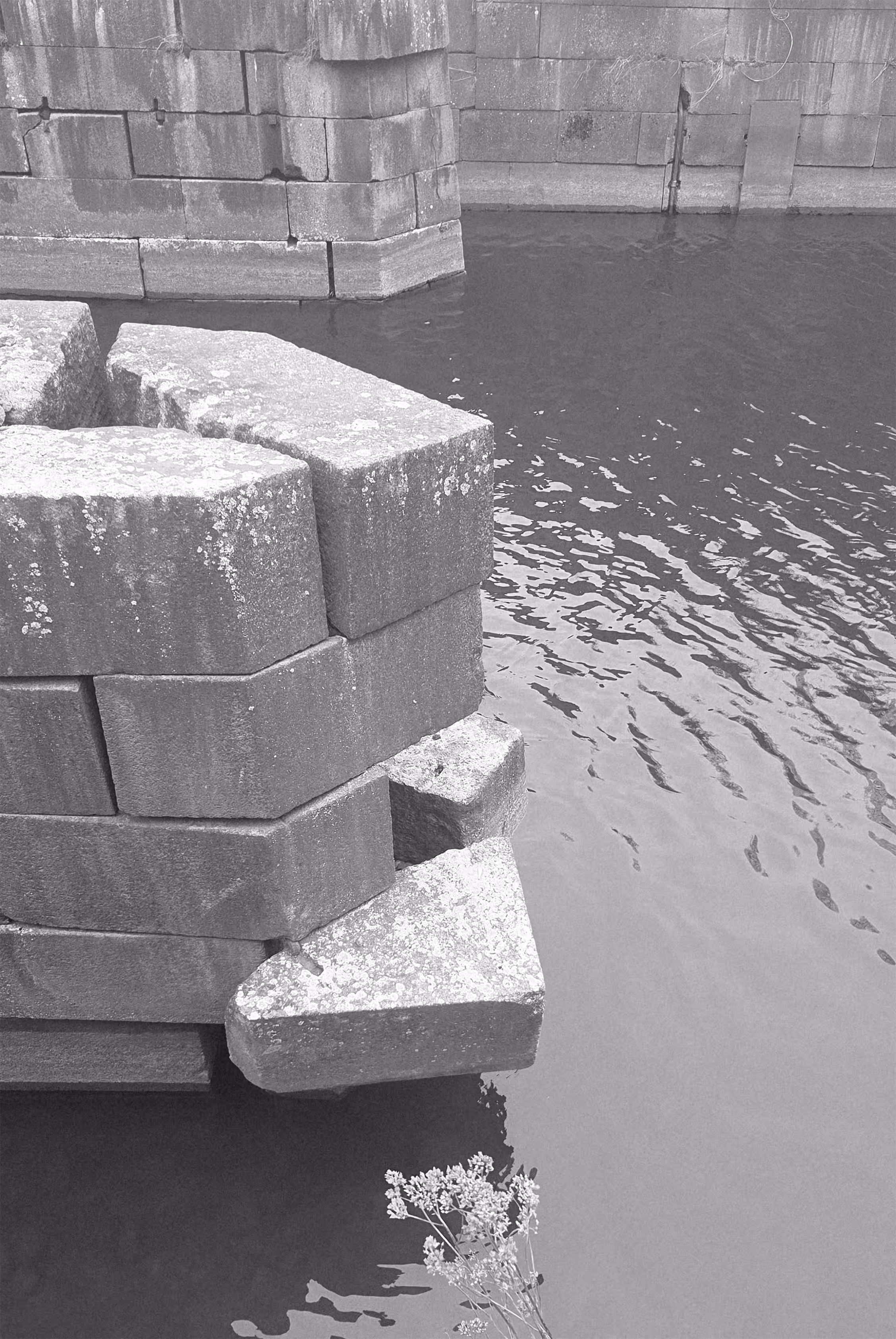 Forgotten by the Water