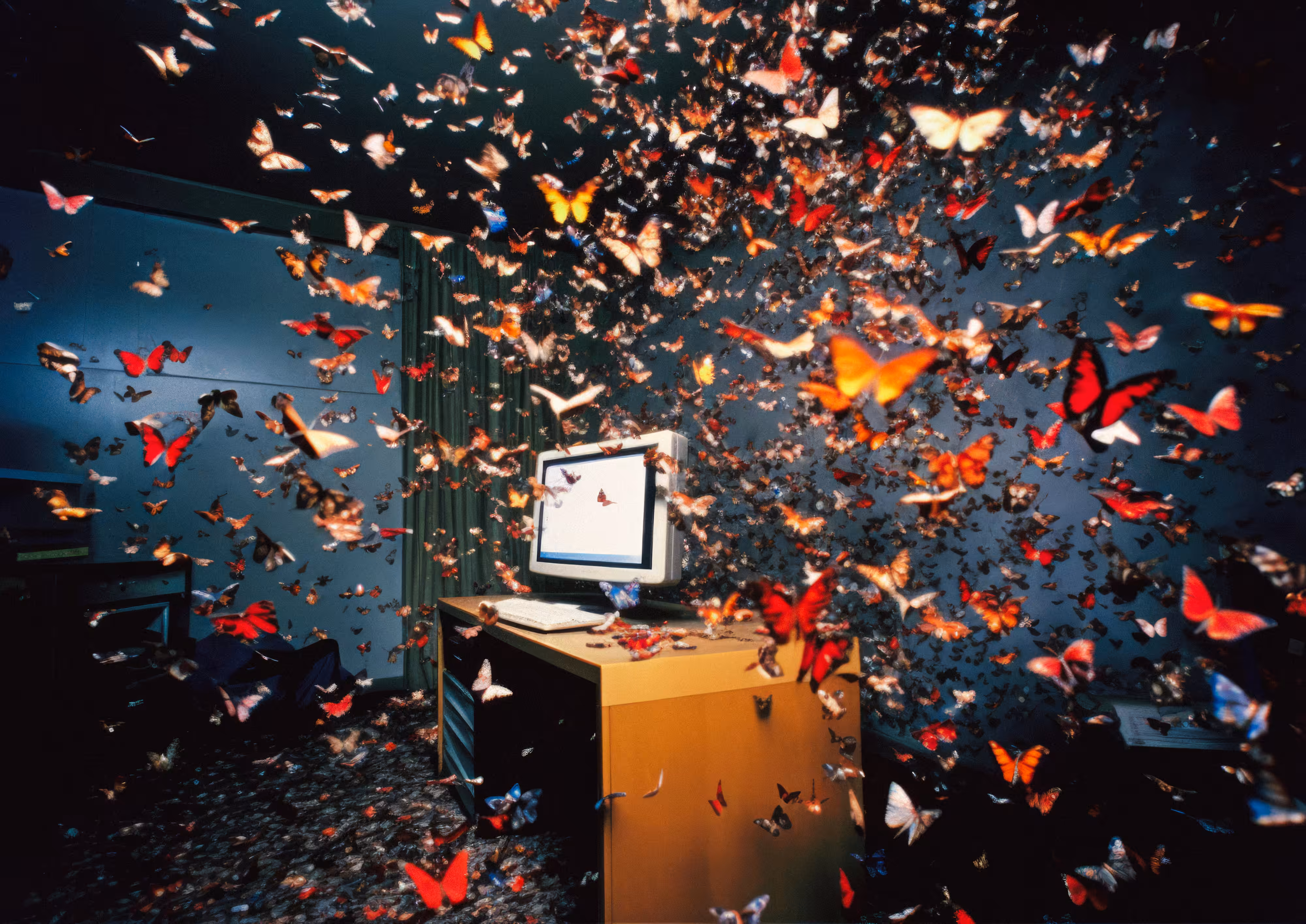 Freedom flutter