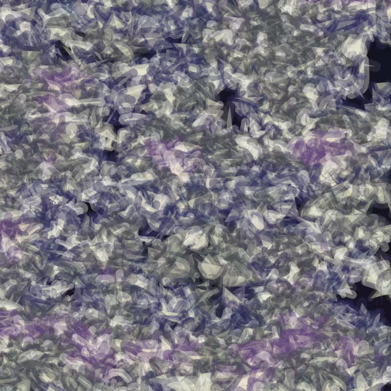 Petri 1500 #976